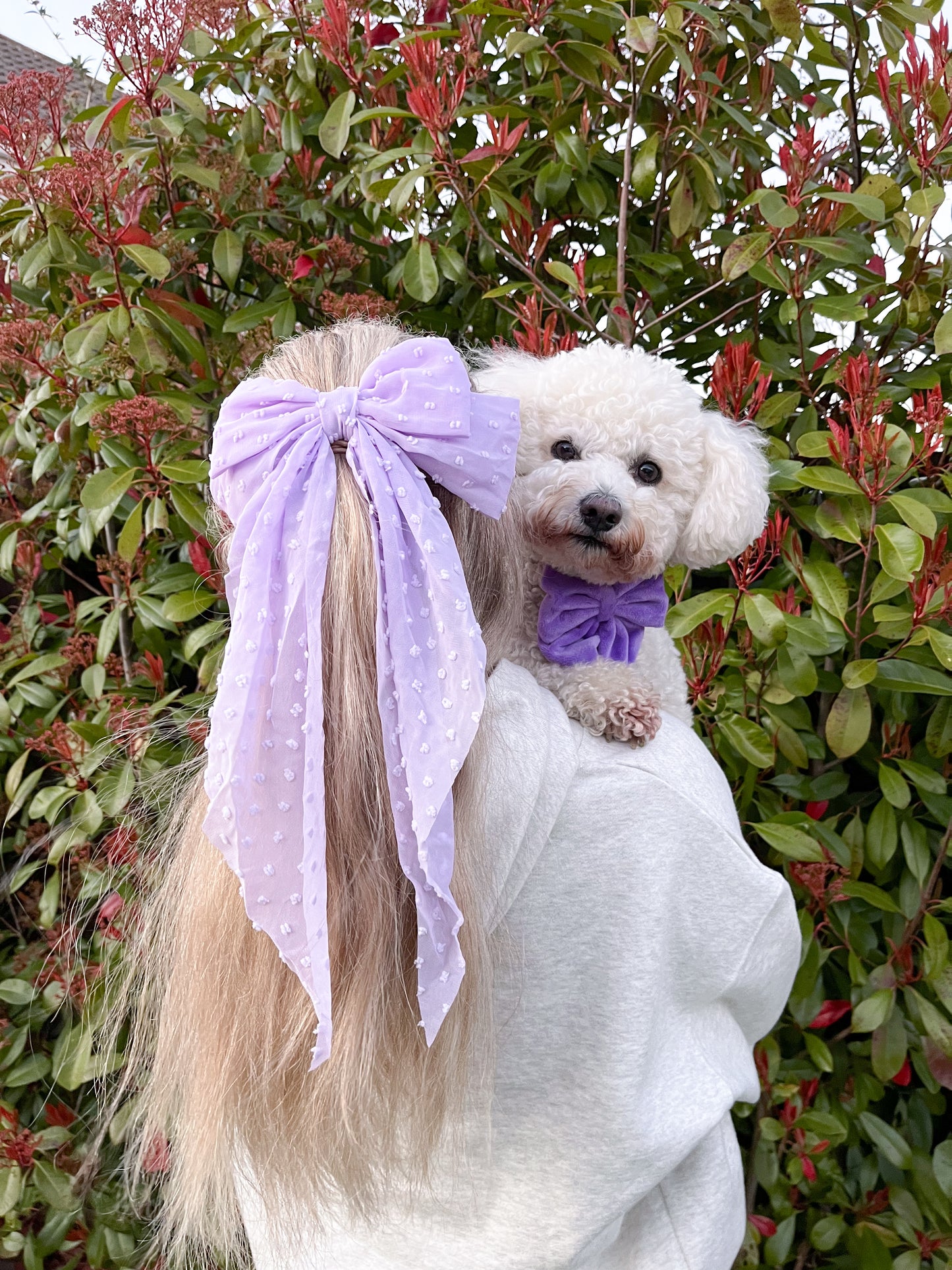 DAINTIES Human Hair Bow - 'Lilac'