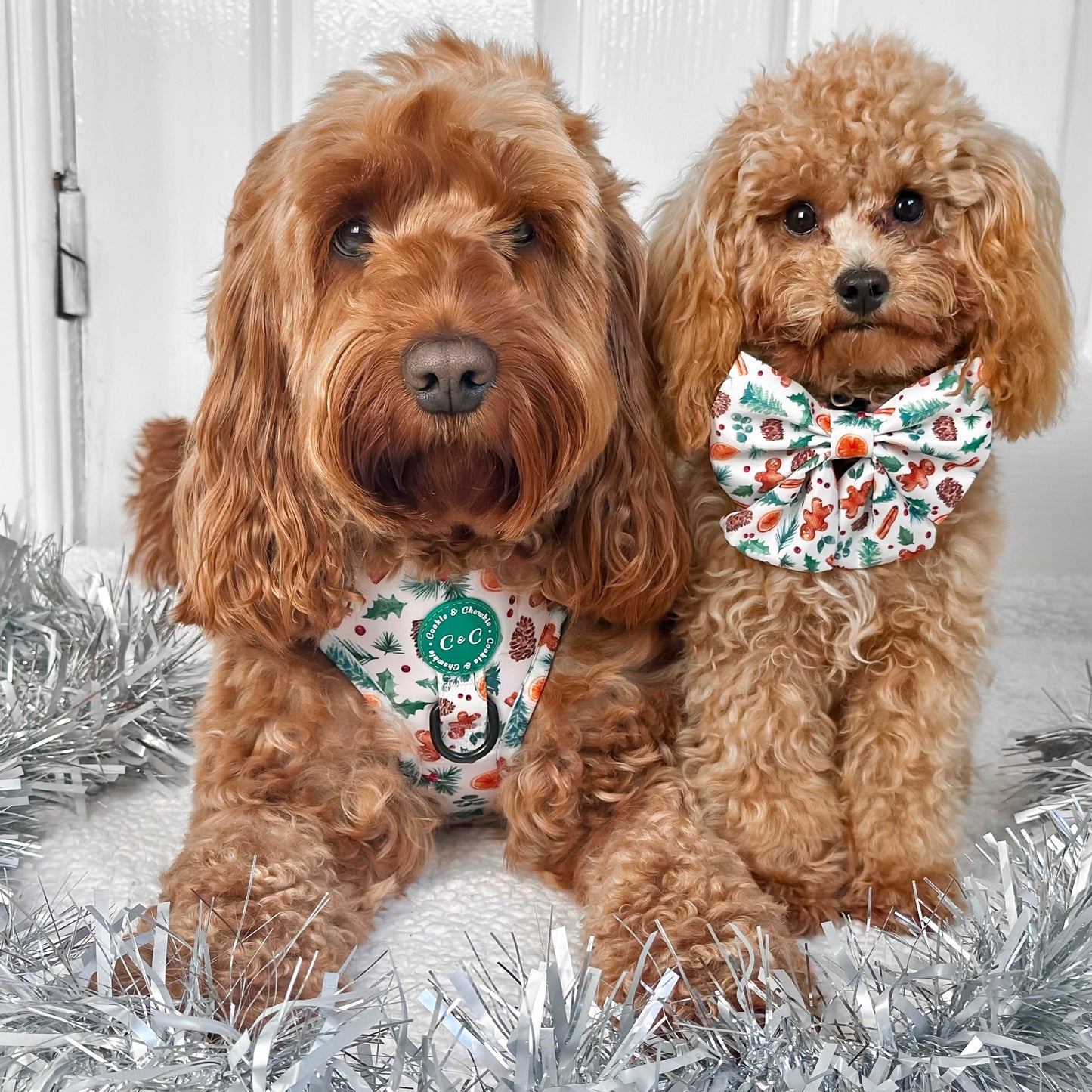Adjustable Harness - 'Festive Pawpourri'