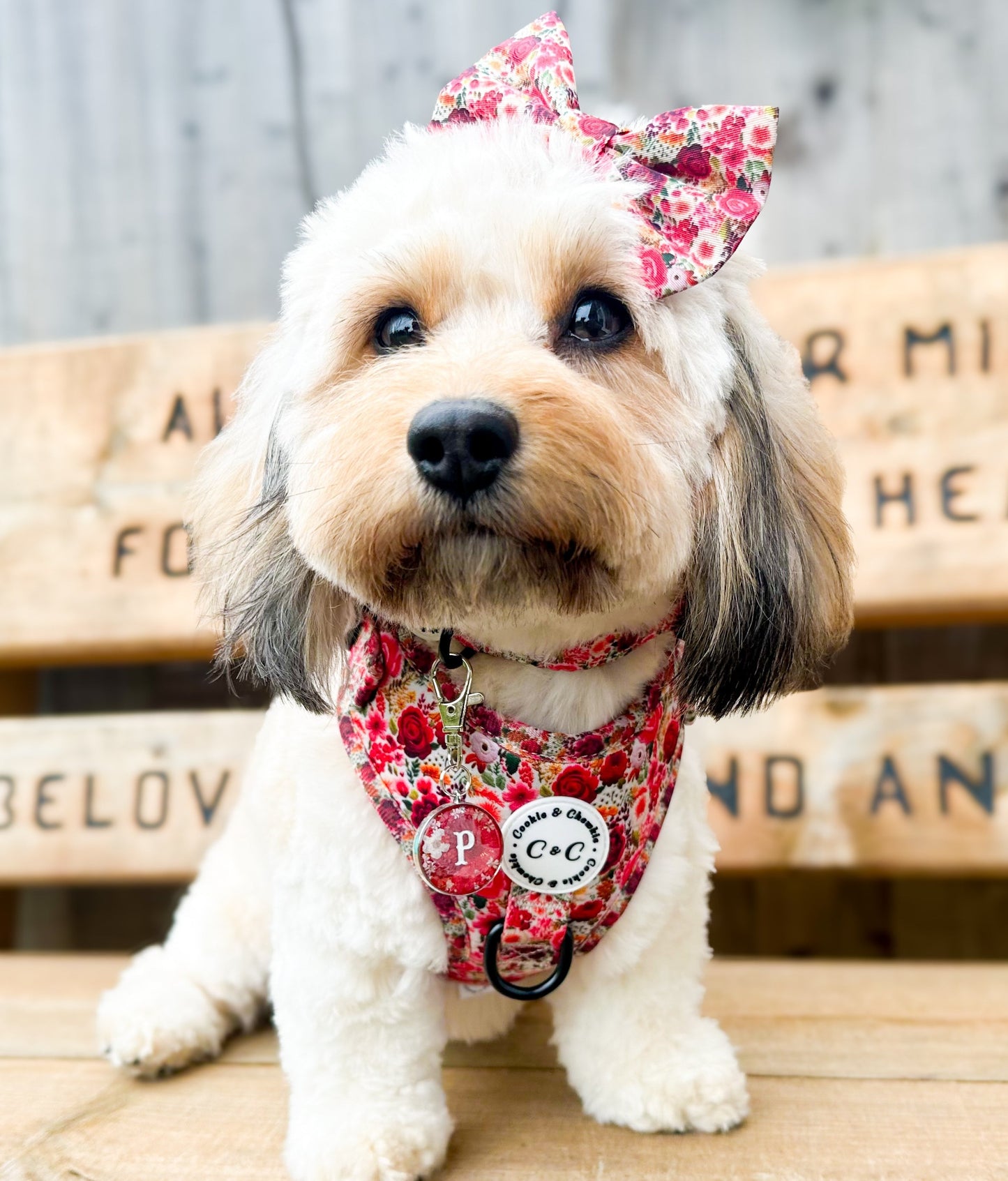 Bow Tie - 'Meet Me At Monet's'