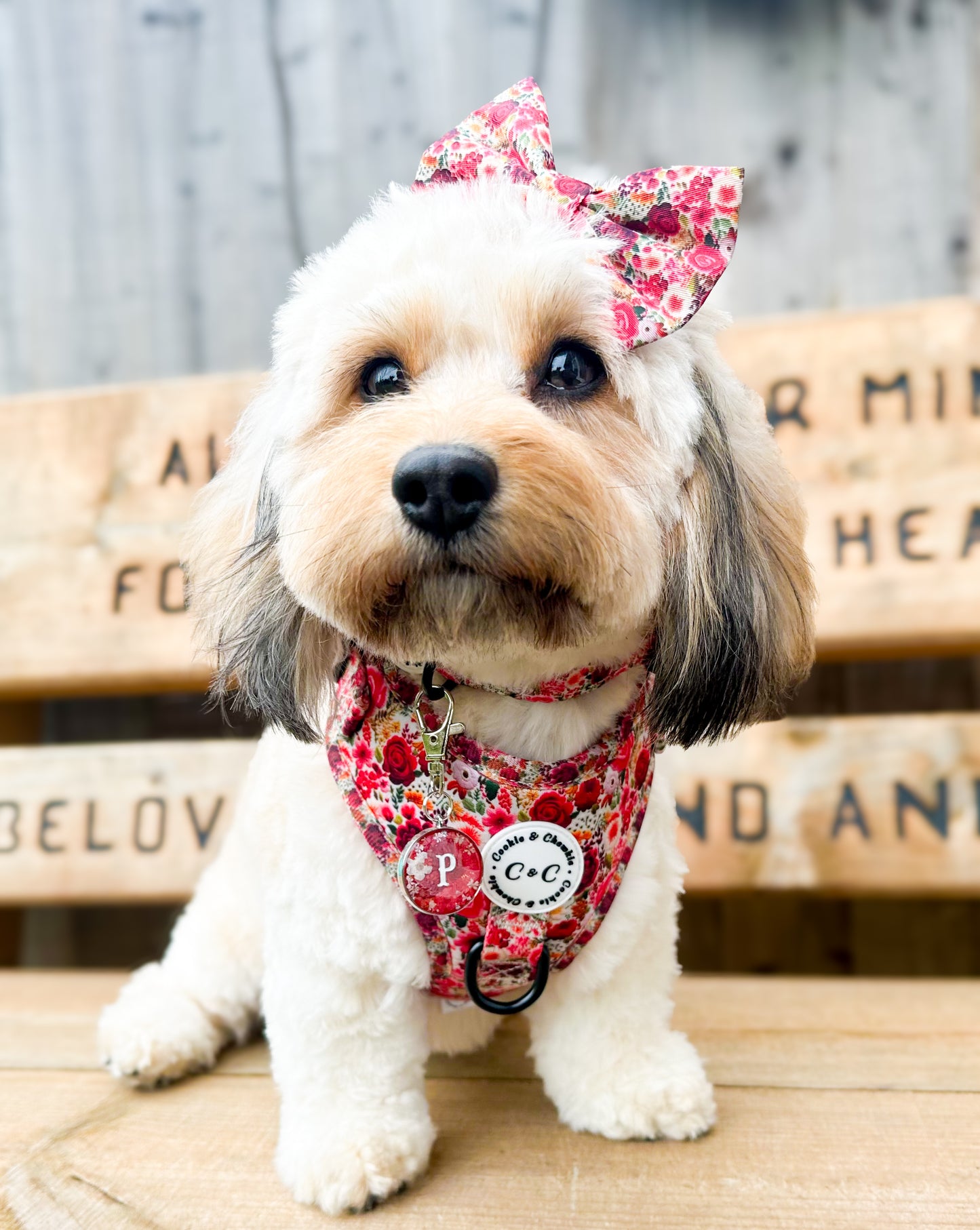 Adjustable Harness - 'Meet Me At Monet's'