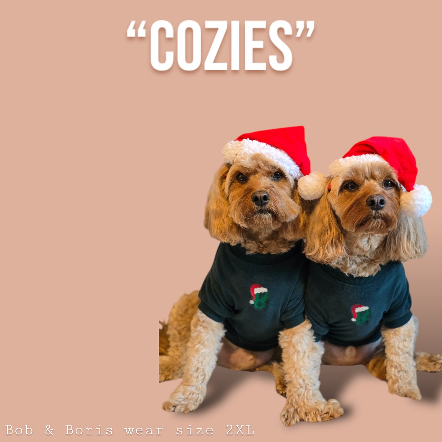 COZIES Fleece Sweatshirt - Dark Green