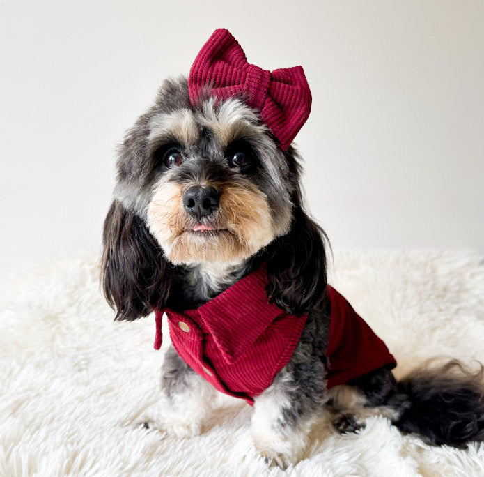 CLASSIES Corduroy Bow Tie - 'September'