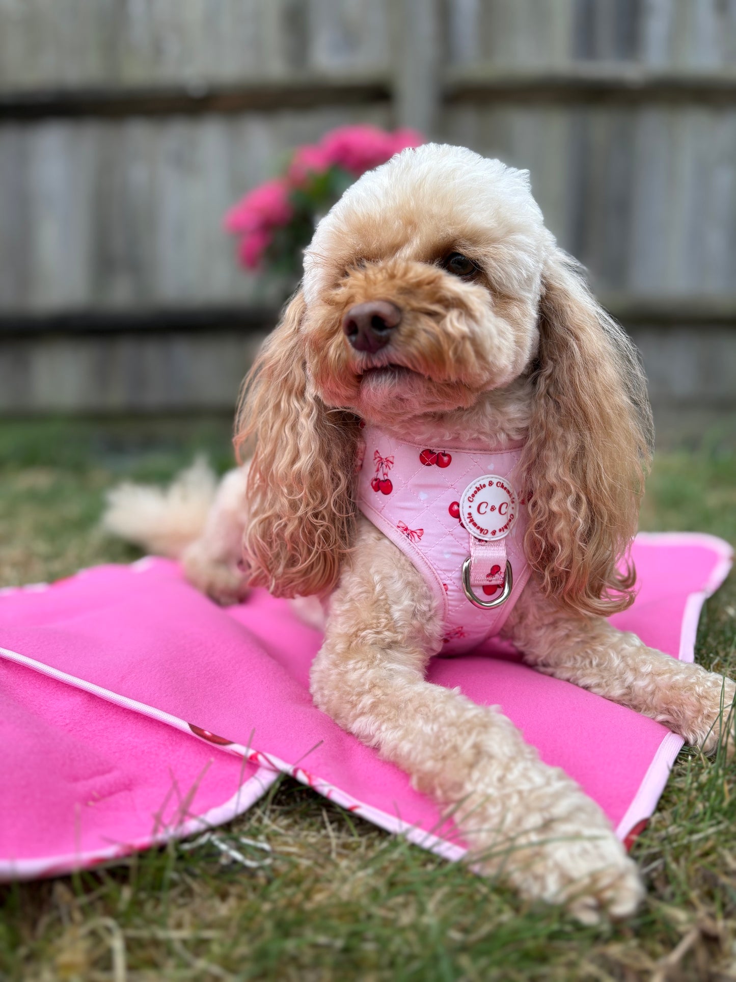 Adjustable Quilted Harness - 'Chérie Amour'