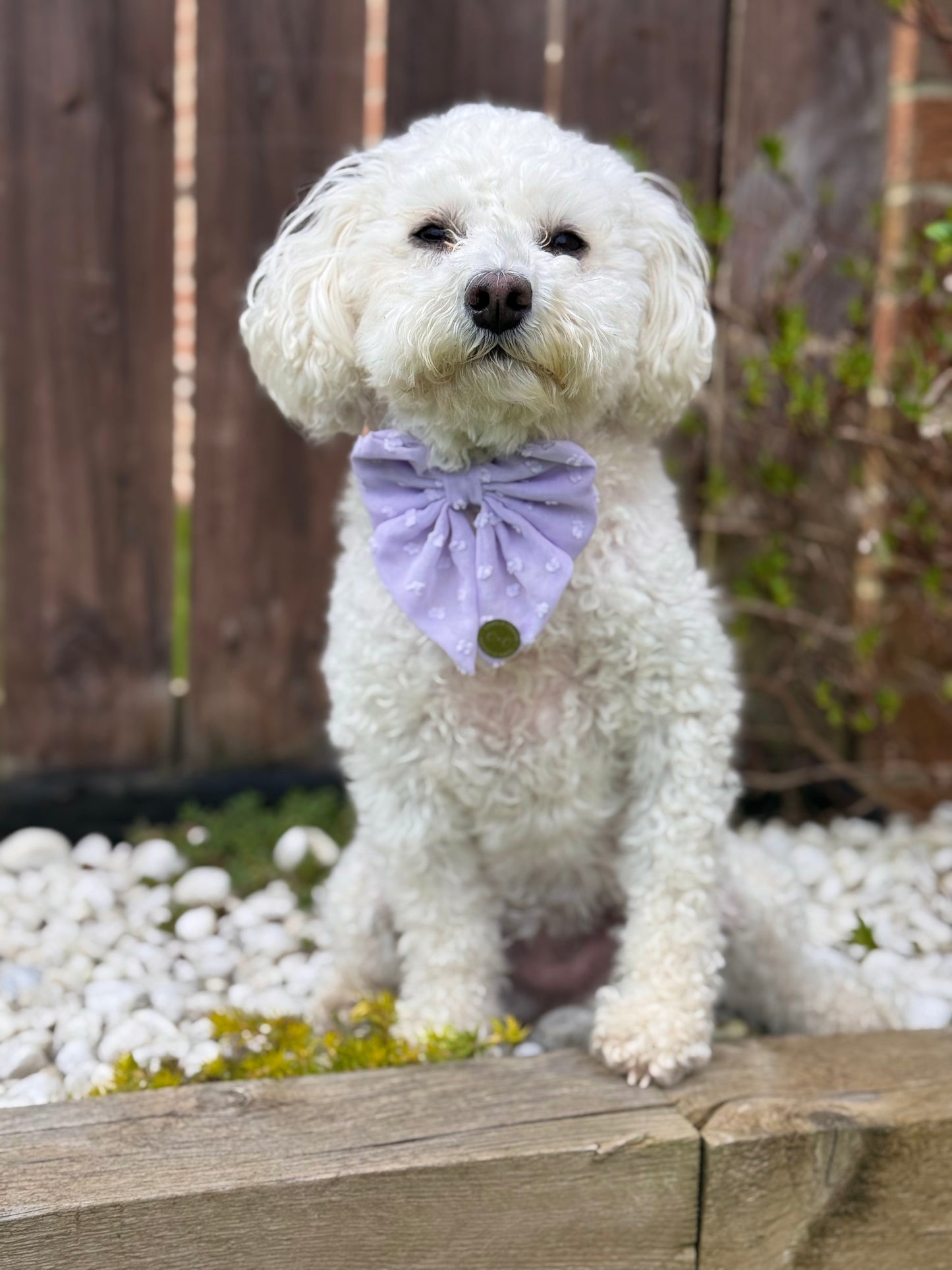 DAINTIES Sailor Bow - 'Lilac'