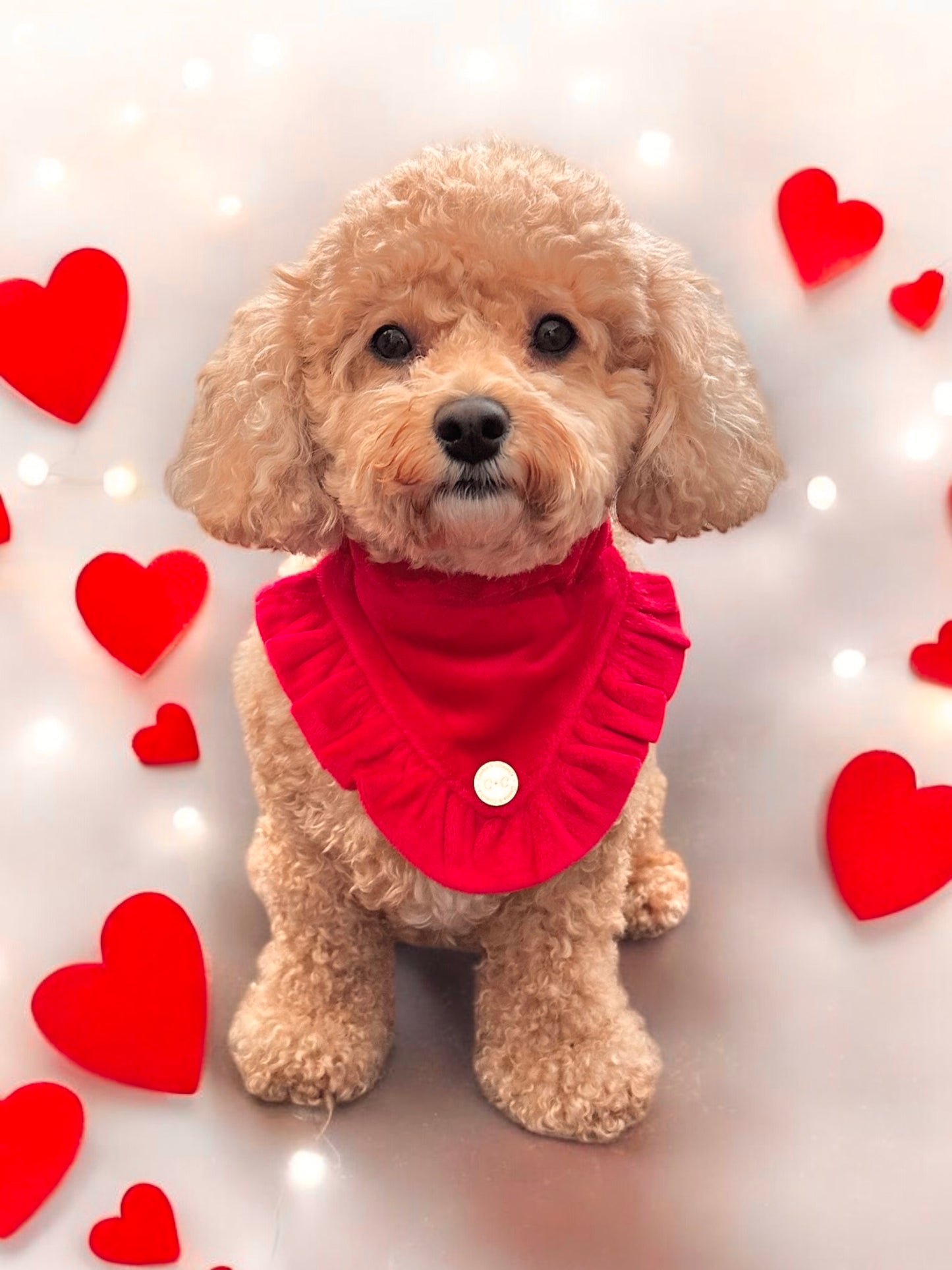 FLUFFIES Bandana - "Scarlett"