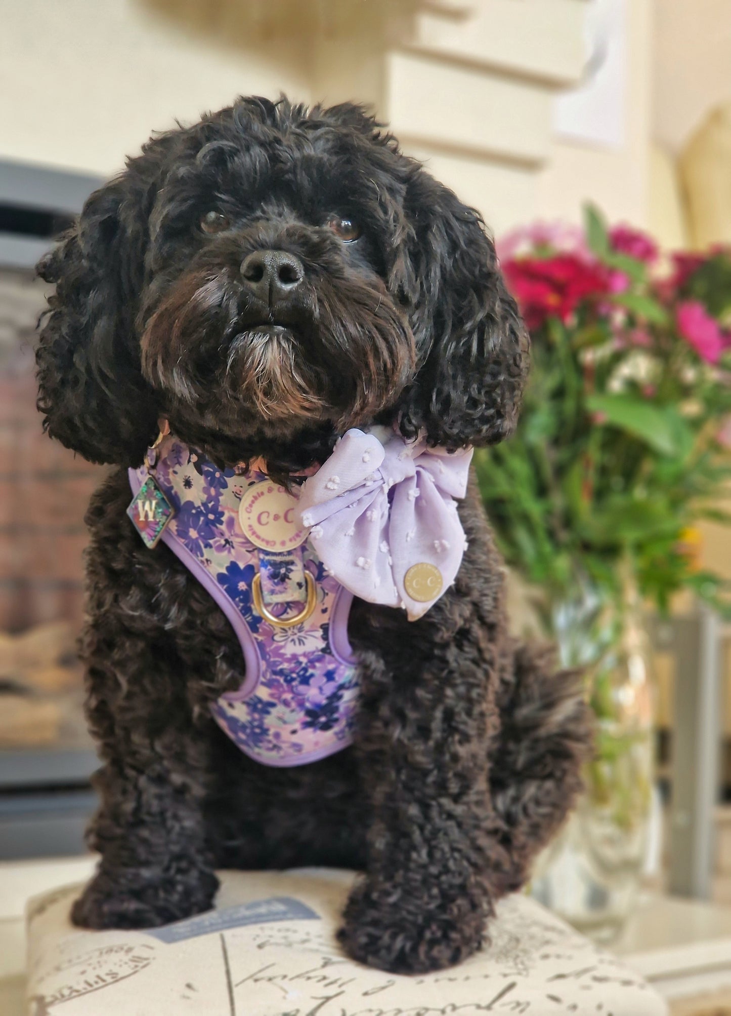 Adjustable Harness - 'Reine des Fleurs'