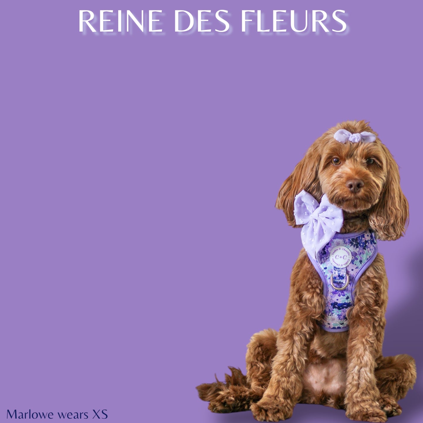 Adjustable Harness - 'Reine des Fleurs'