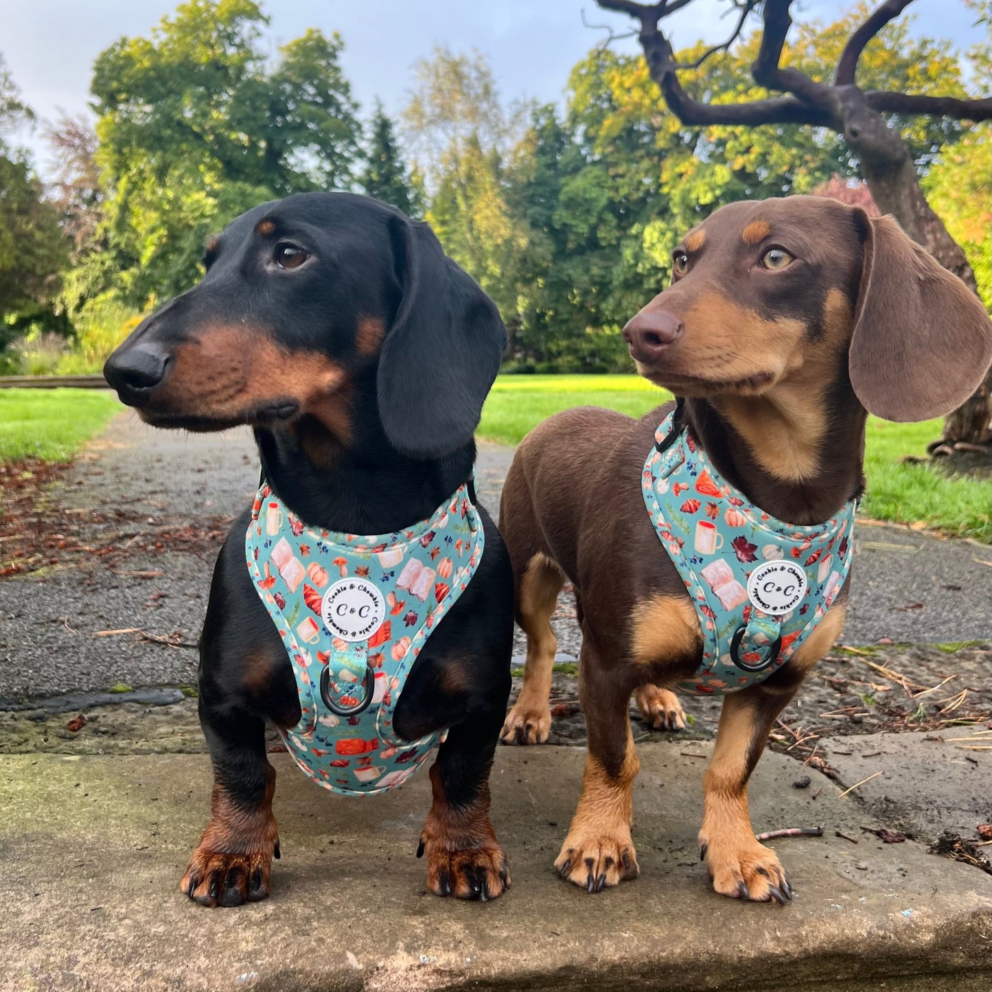 Adjustable Harness - 'Once Upon An Autumn'
