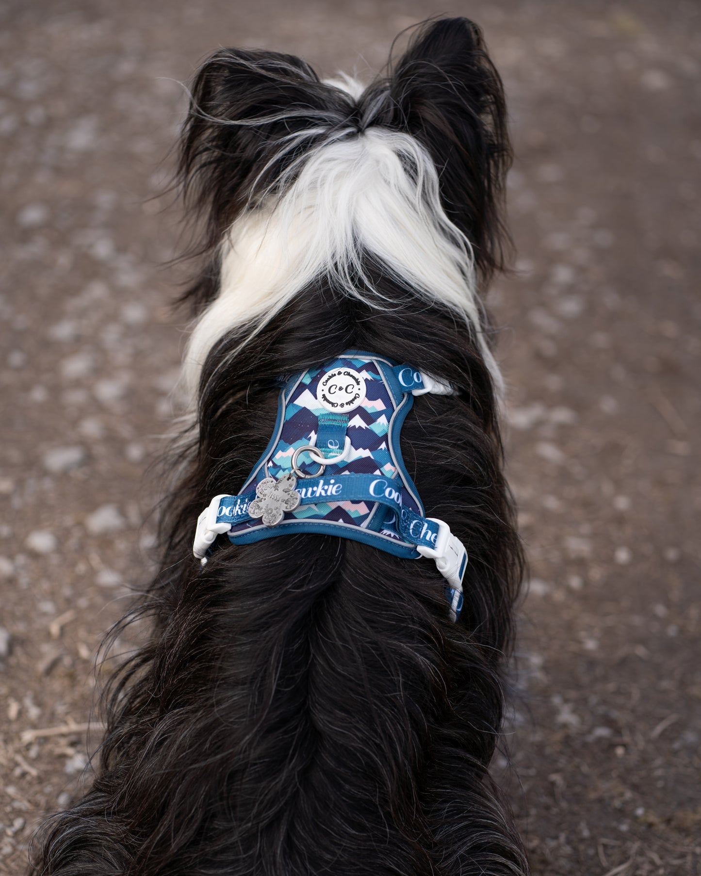 Adjustable TUFF Harness - 'Hike n' Seek'