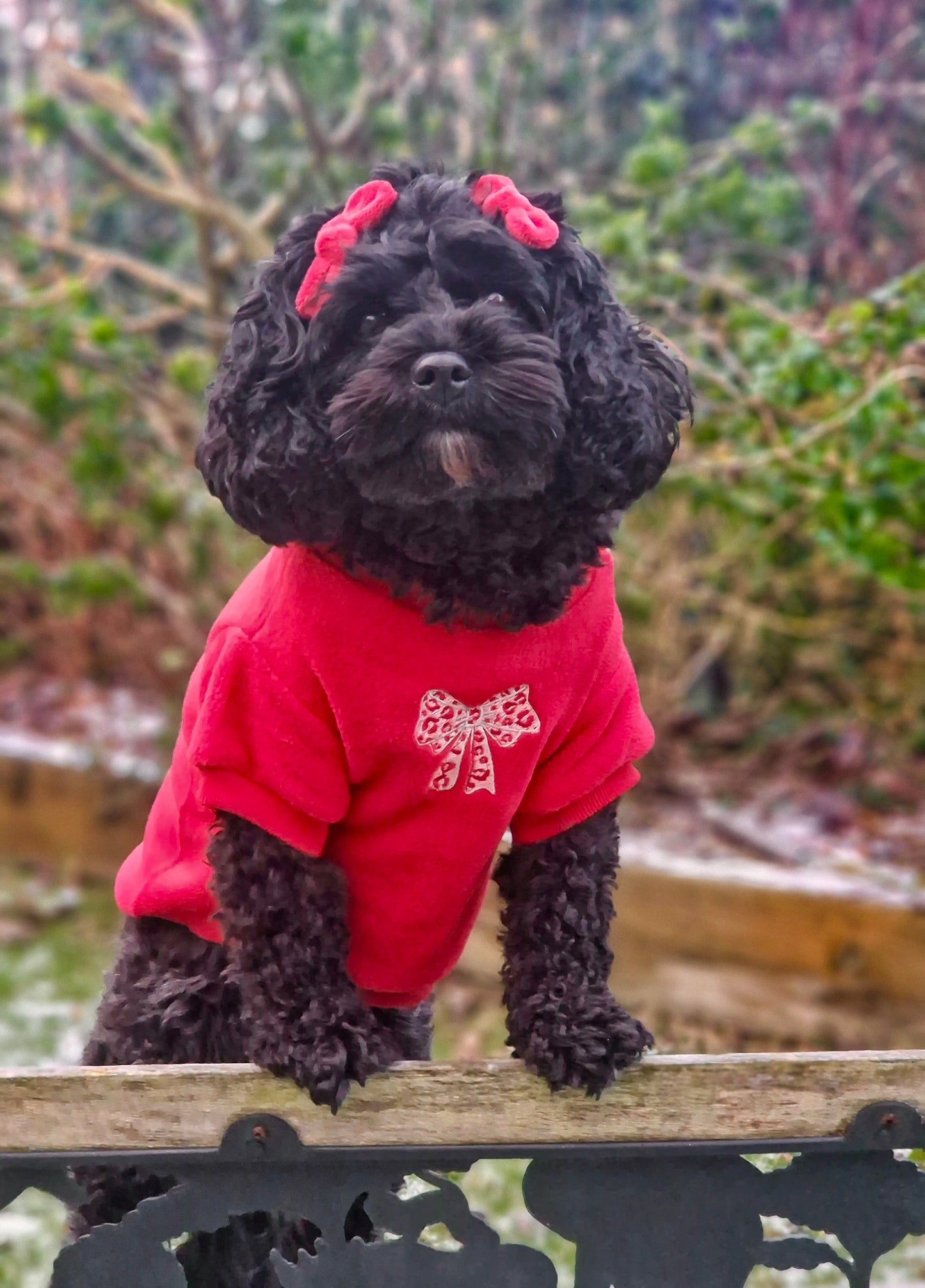 COZIES Fleece Sweatshirt - Red