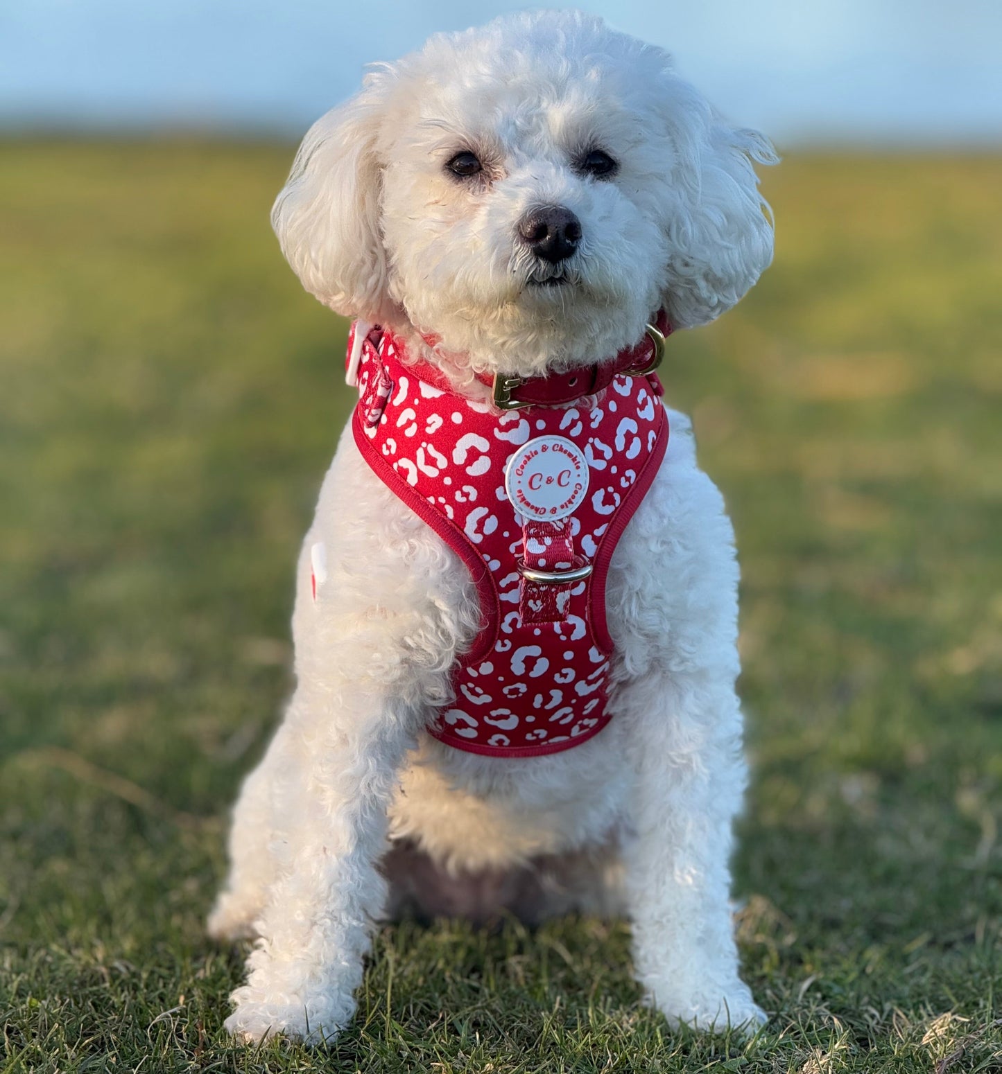 Adjustable Harness - 'Wildest Dreams - Rouge'