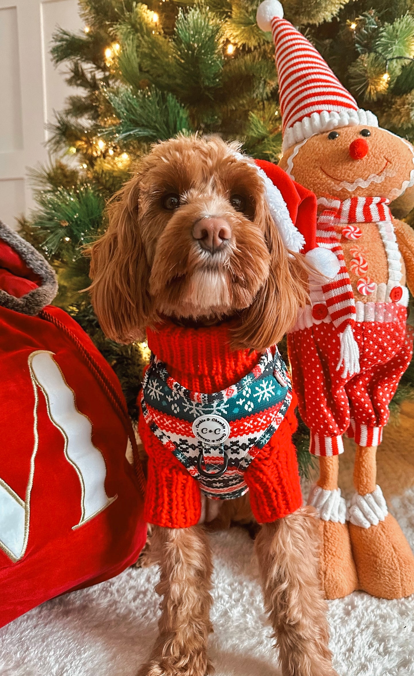 Adjustable Harness - 'Sweater Weather'