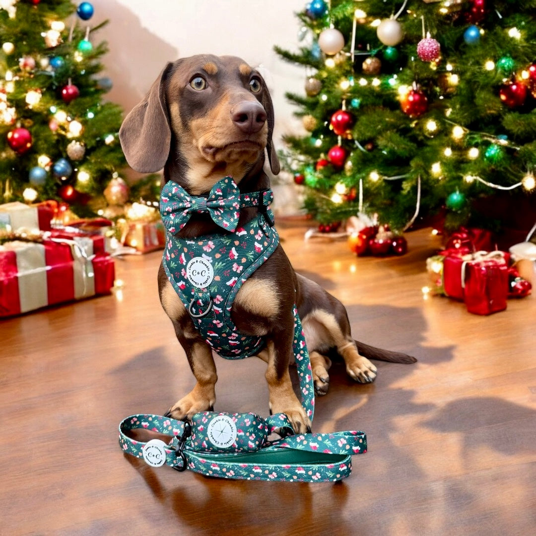 Bow Tie - 'Dainty Little Christmas'