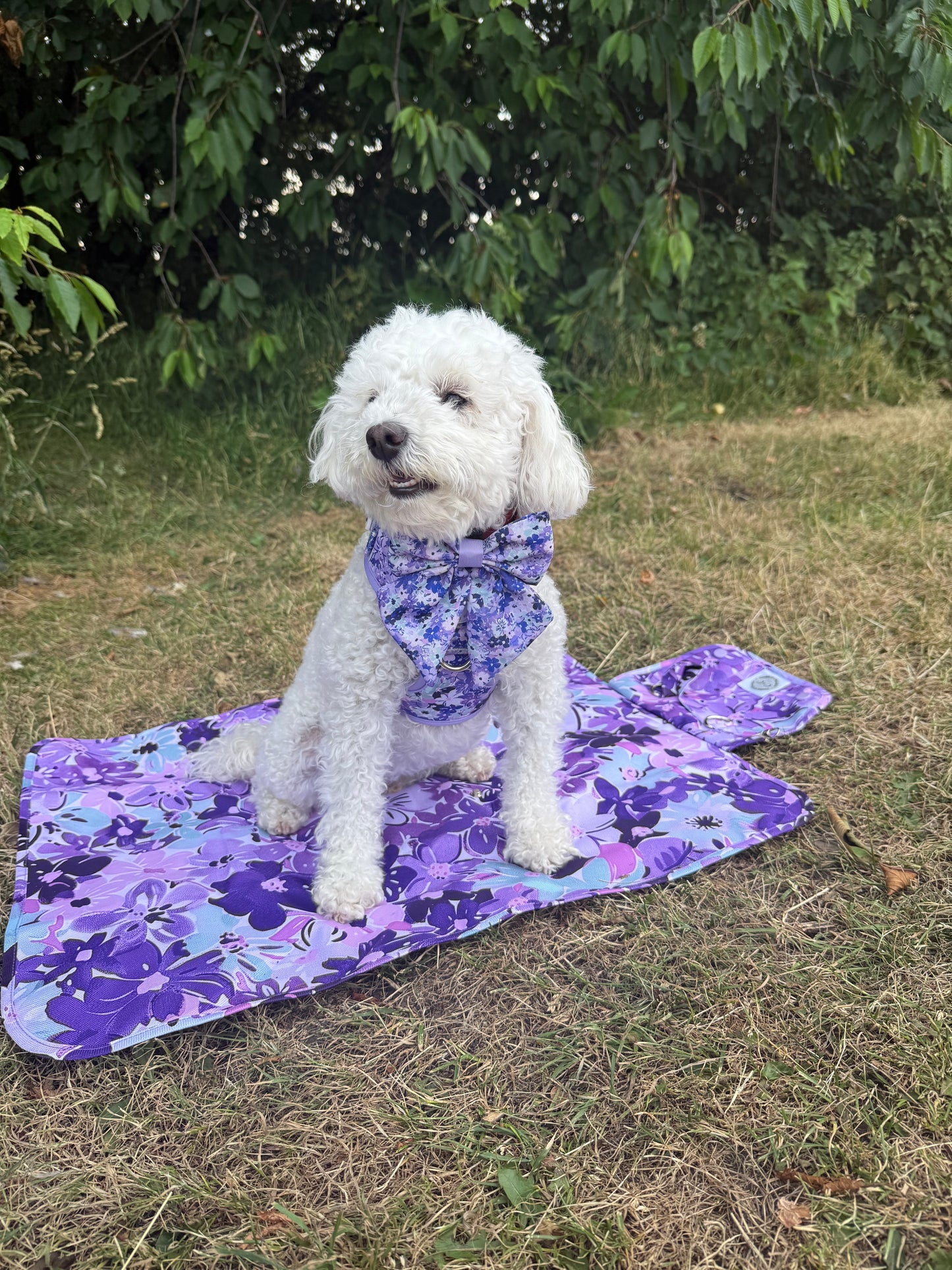 'Take-A-Break' Mat - 'Reine Des Fleurs'