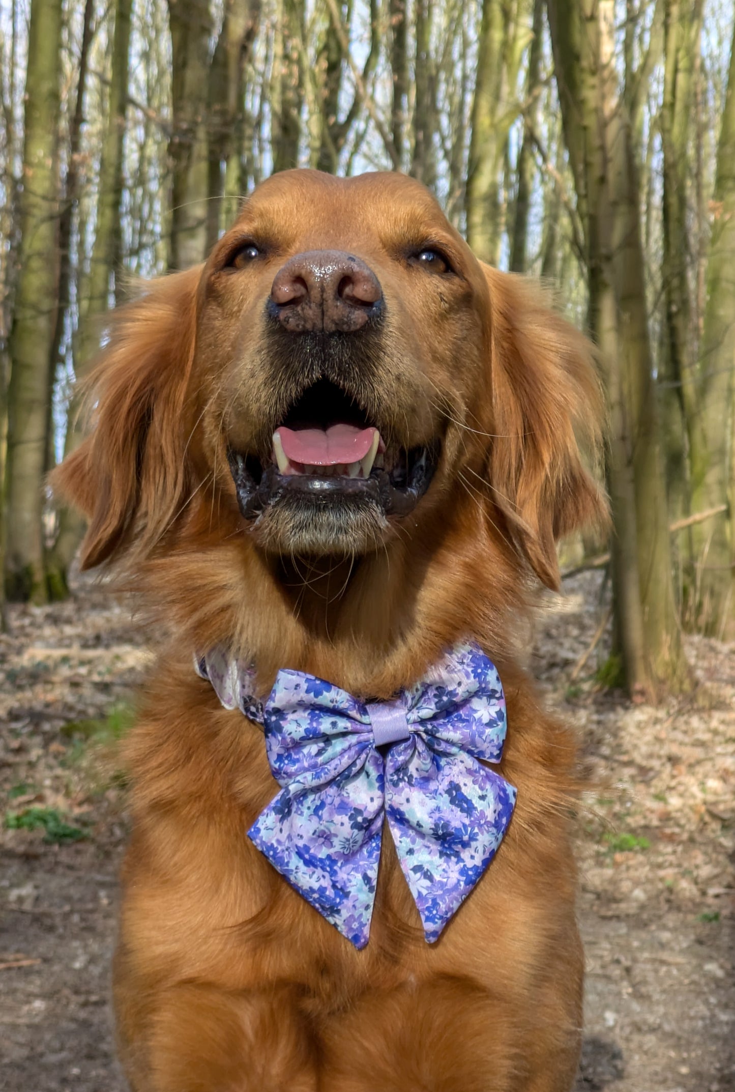 Sailor Bow - 'Reine des Fleurs'