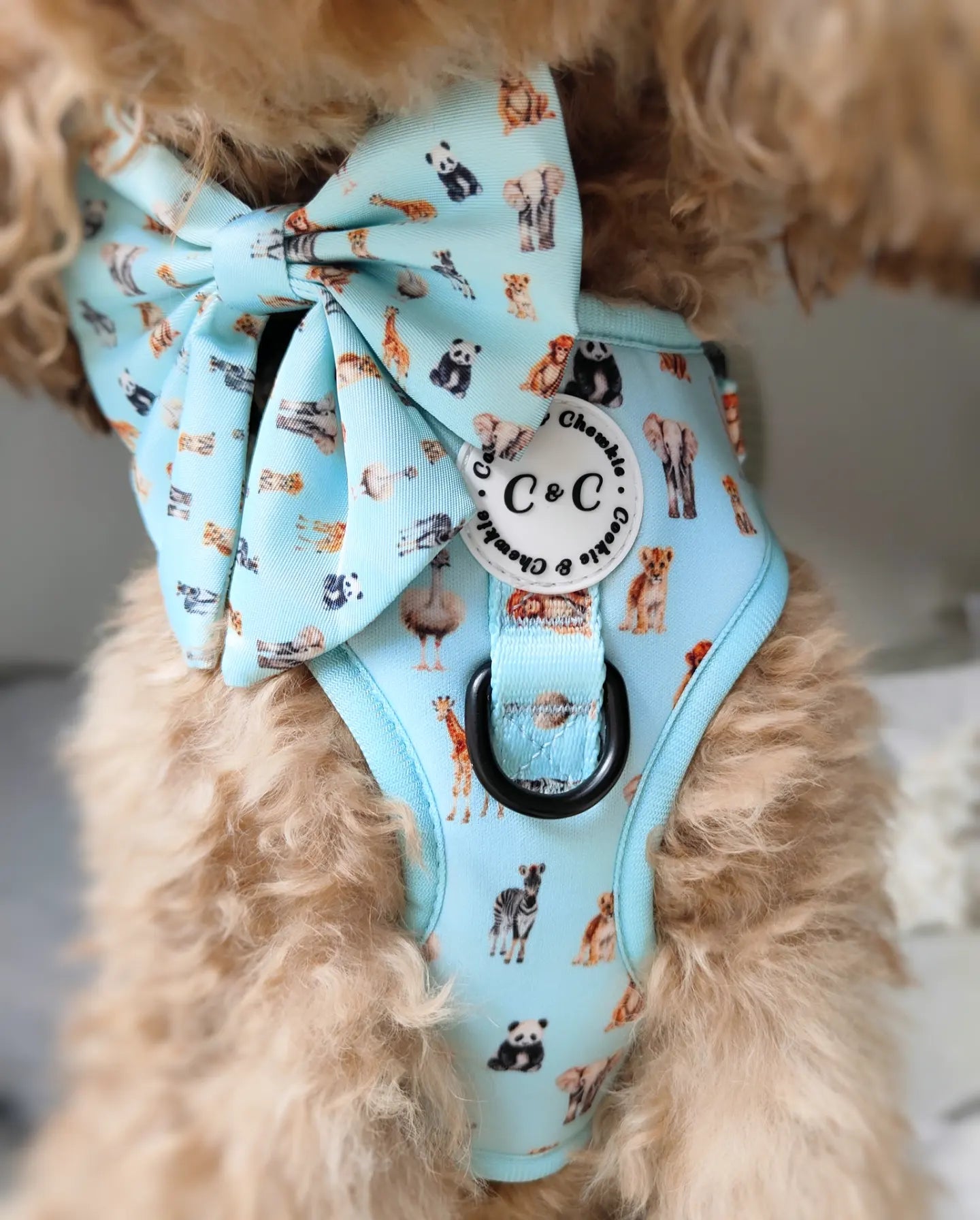 Adjustable harness - 'Circle of Life'