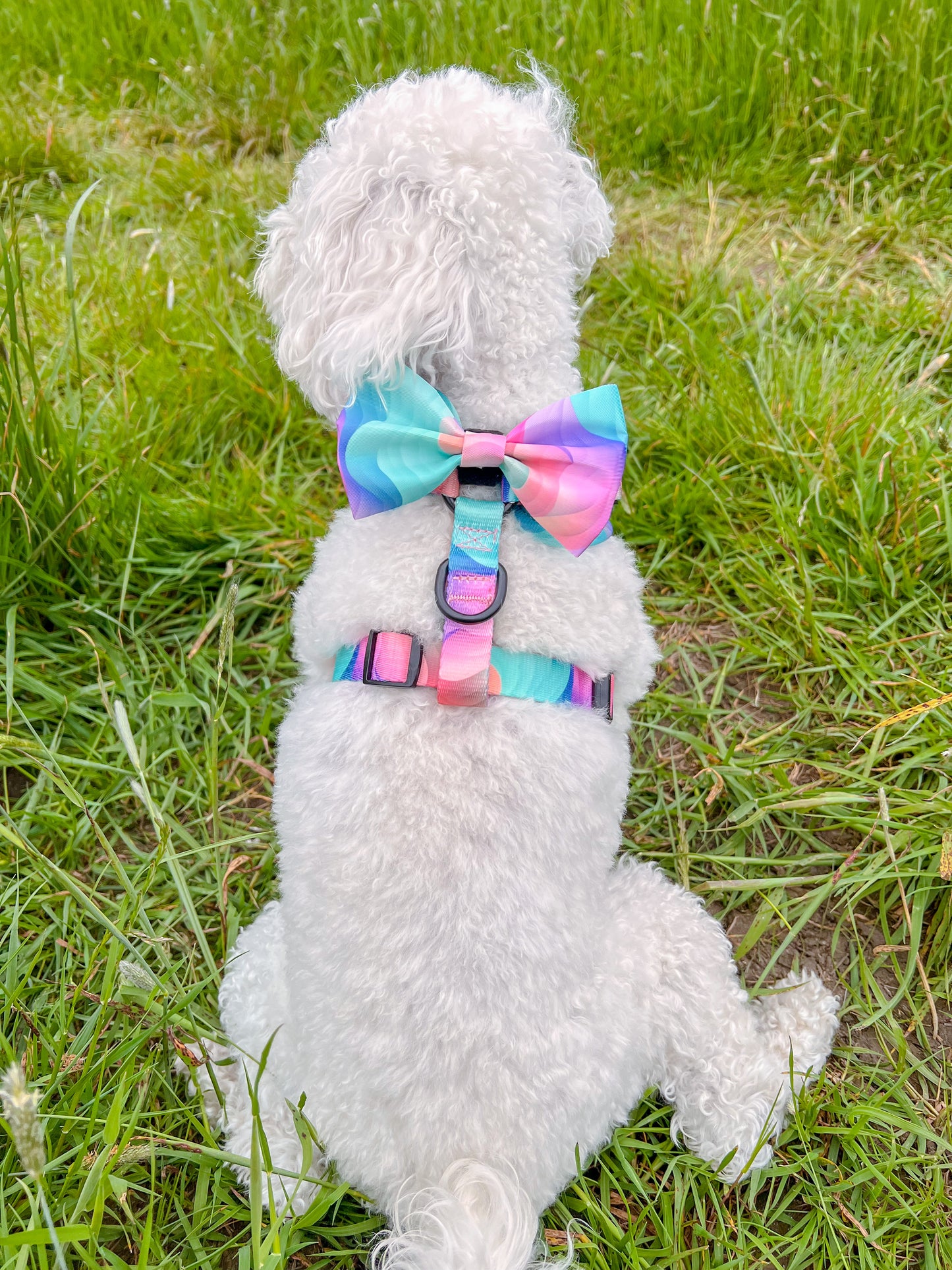 Adjustable harness - 'Colours of the Wind'