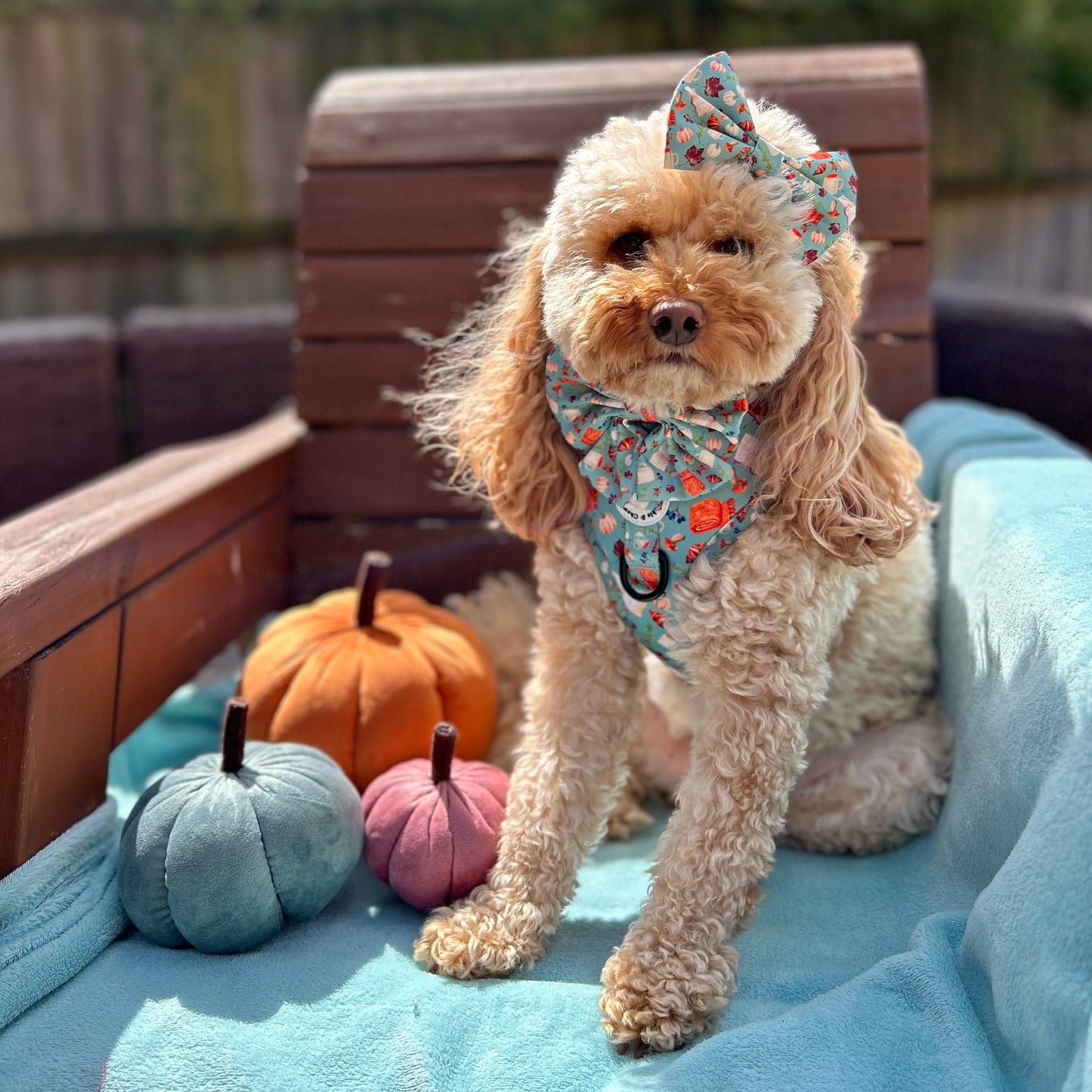 Bow Tie - 'Once Upon An Autumn'