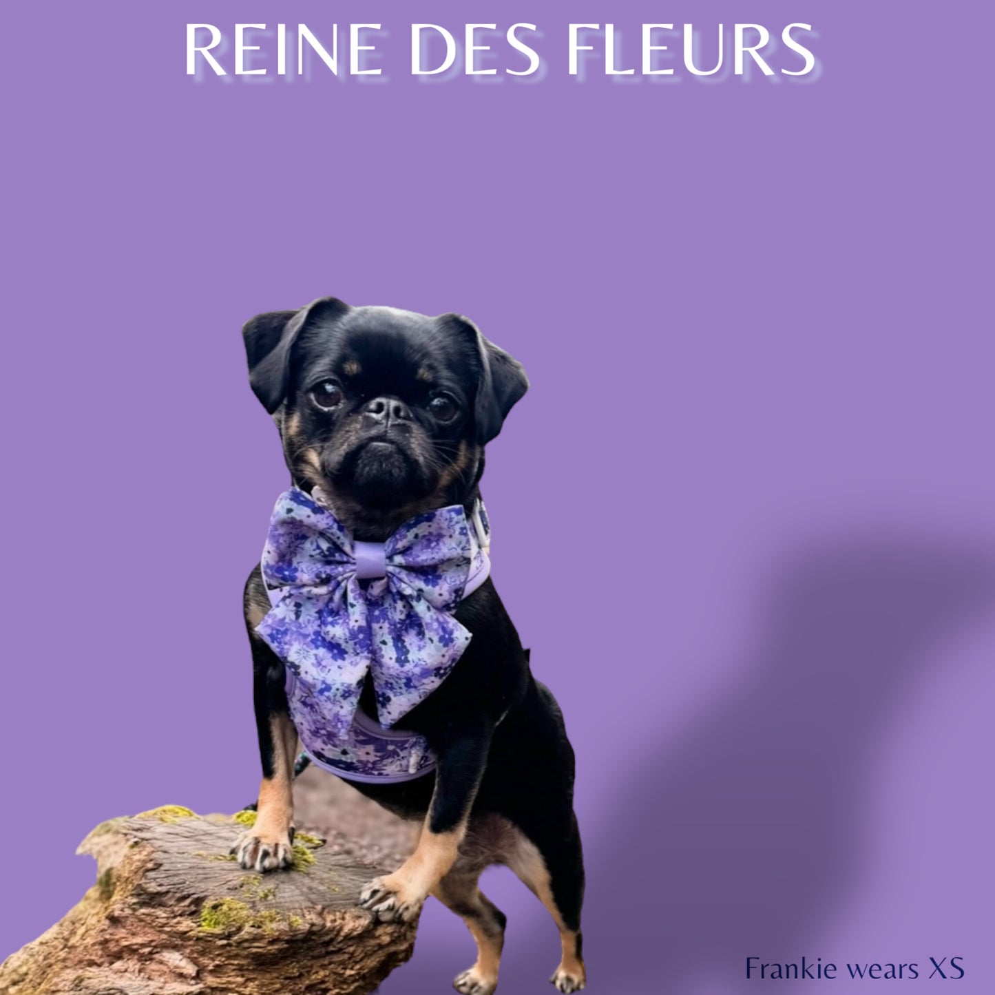 Adjustable Harness - 'Reine des Fleurs'