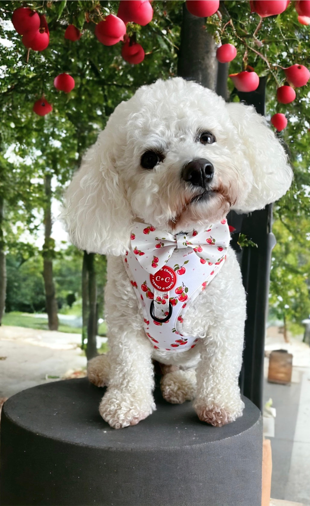 Adjustable Harness - 'Apple Pawtumn Jeans'