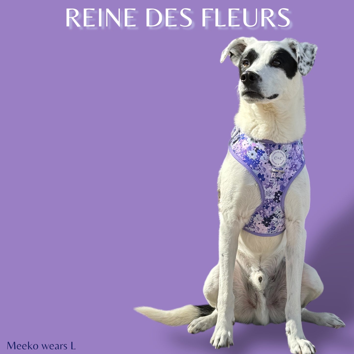 Adjustable Harness - 'Reine des Fleurs'