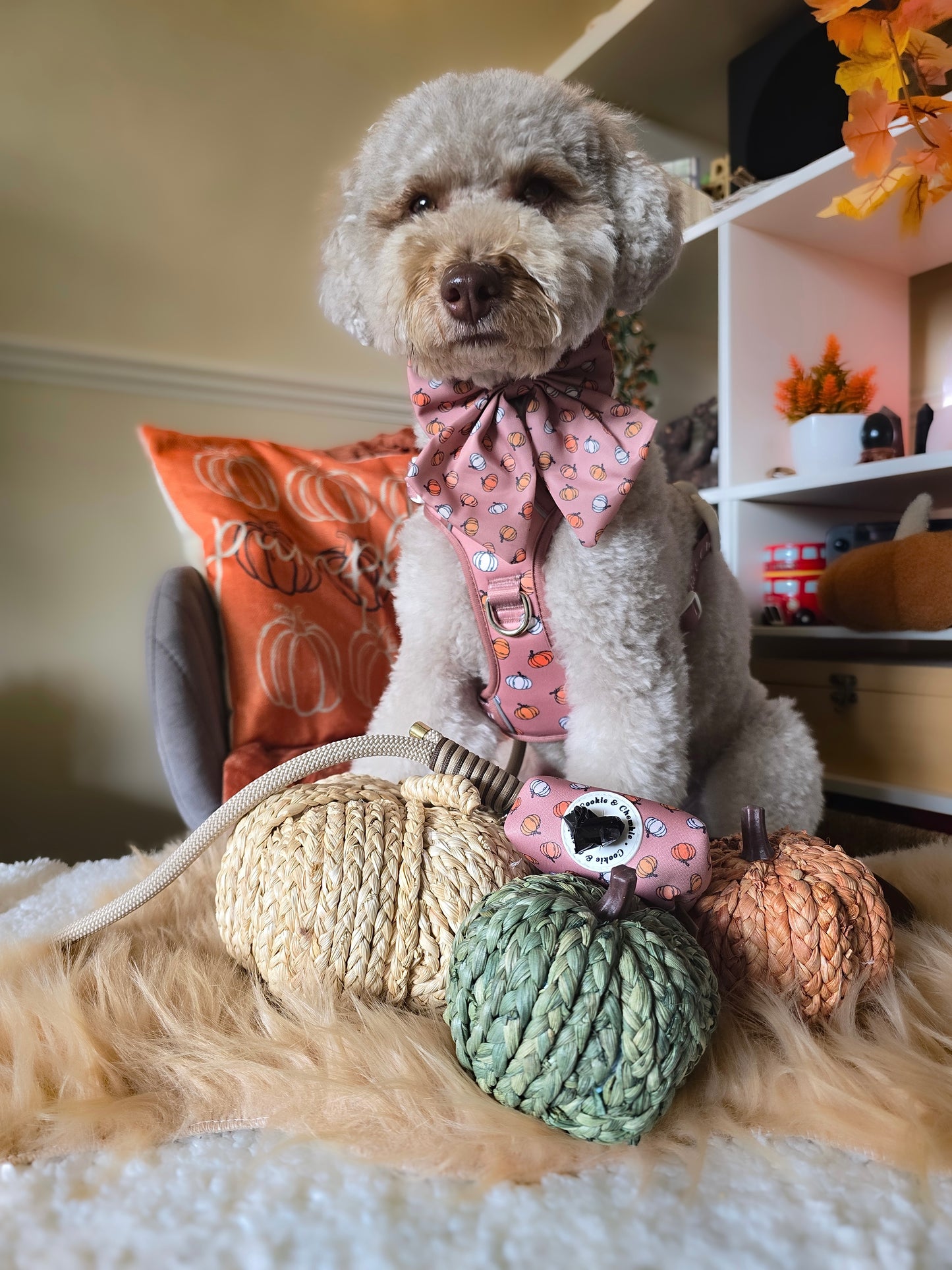 Adjustable TUFF Harness - 'Cinderella Latte'