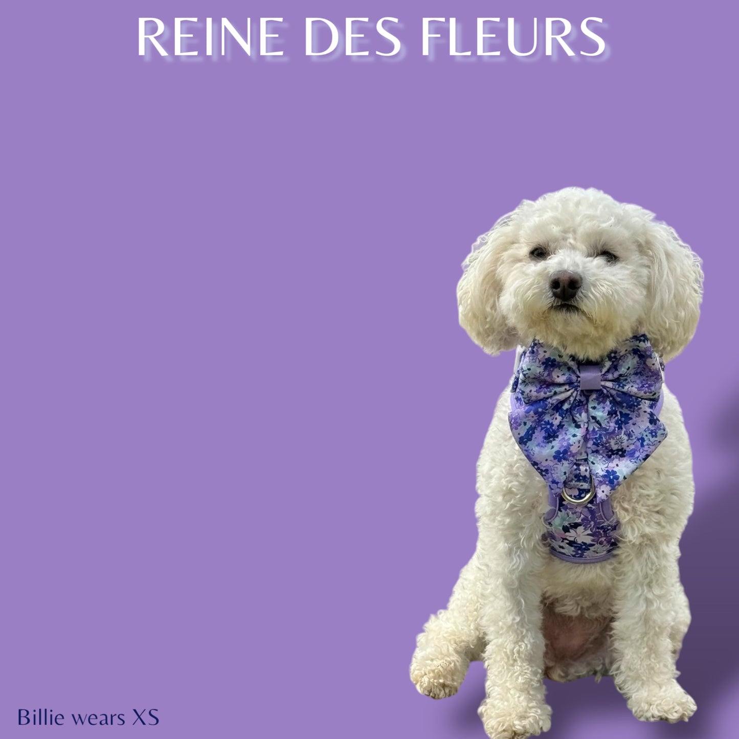 Adjustable Harness - 'Reine des Fleurs'