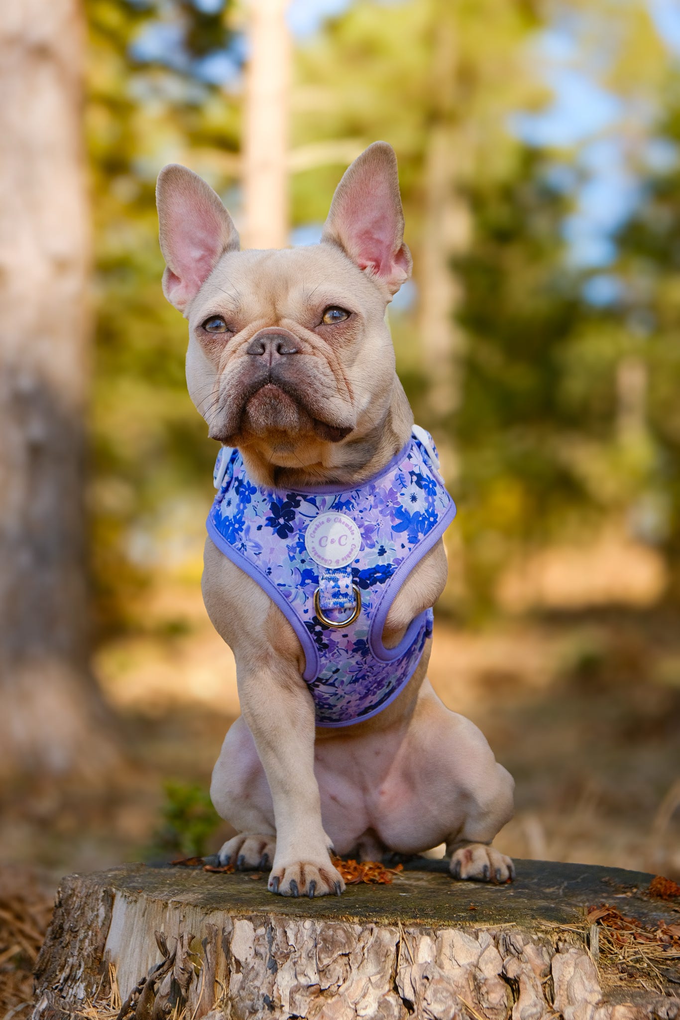 Adjustable Harness - 'Reine des Fleurs'