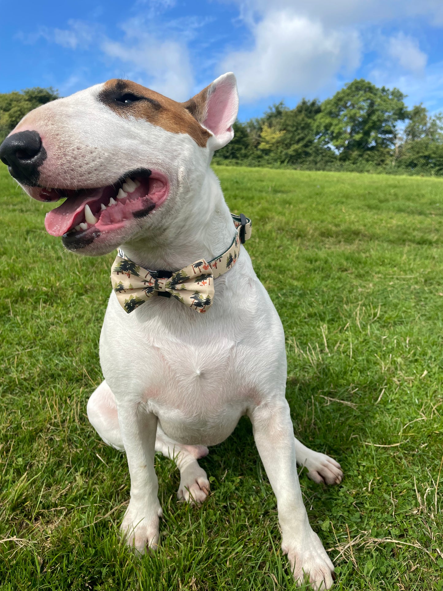 Bow Tie - 'Squirrel Pawtrol'