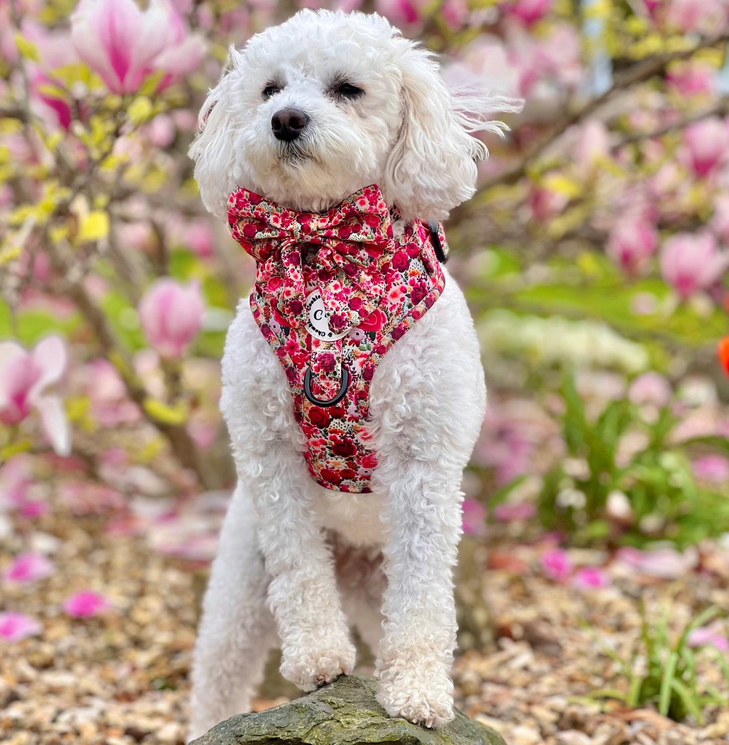 Adjustable Harness - 'Meet Me At Monet's'