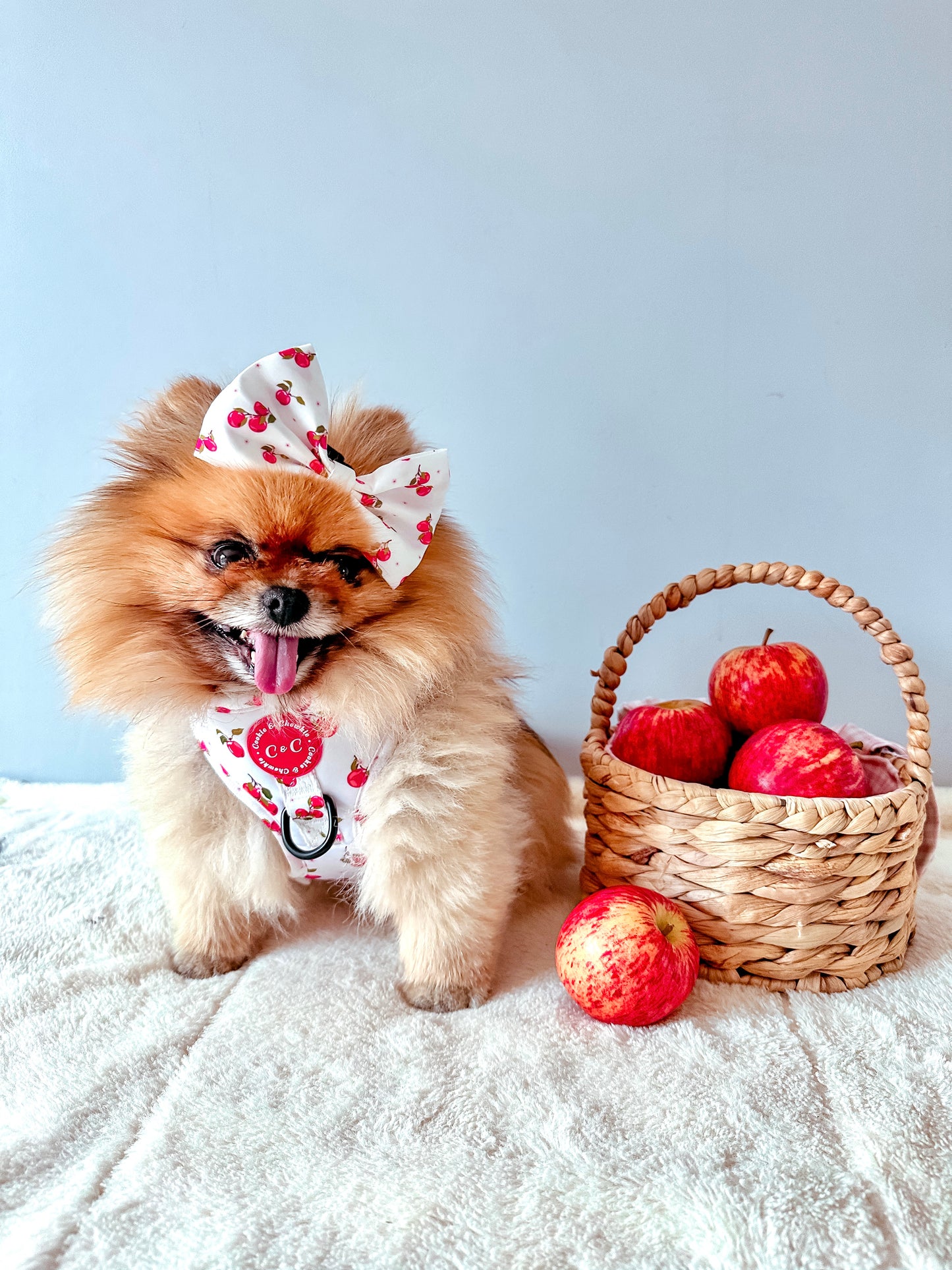 Adjustable Harness - 'Apple Pawtumn Jeans'