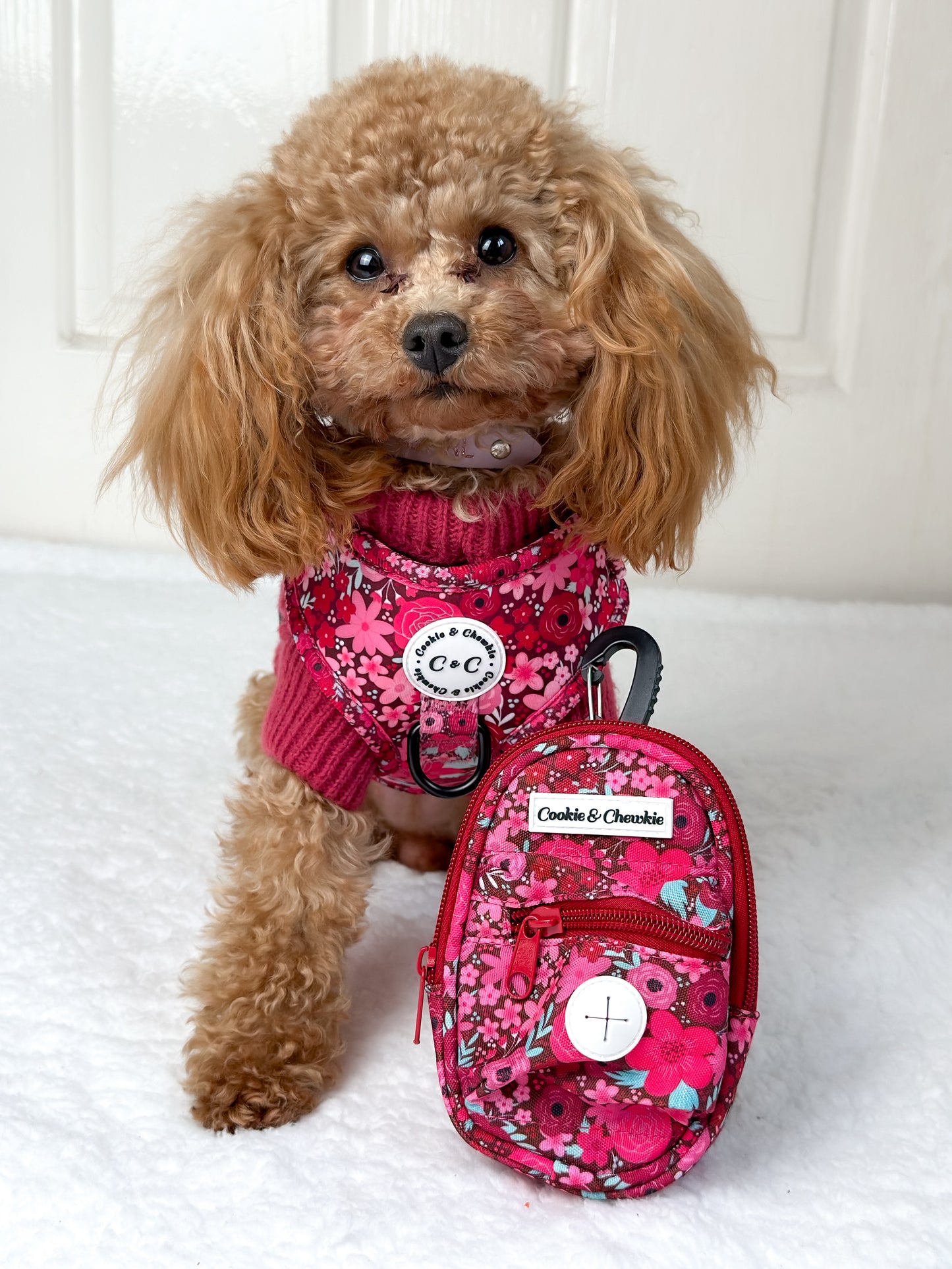 Treat Pouch - On Chewsdays, We Wear Pink
