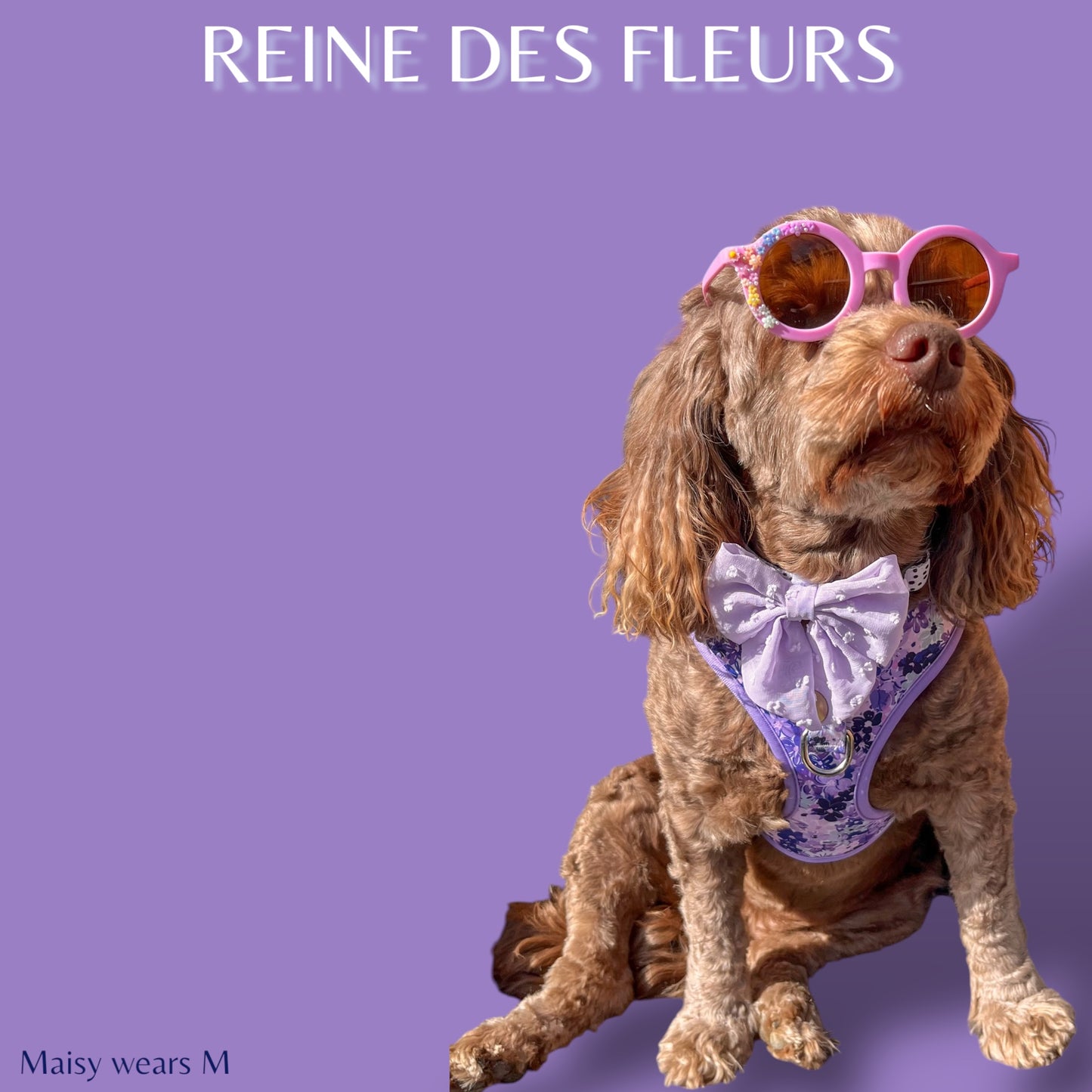 Adjustable Harness - 'Reine des Fleurs'