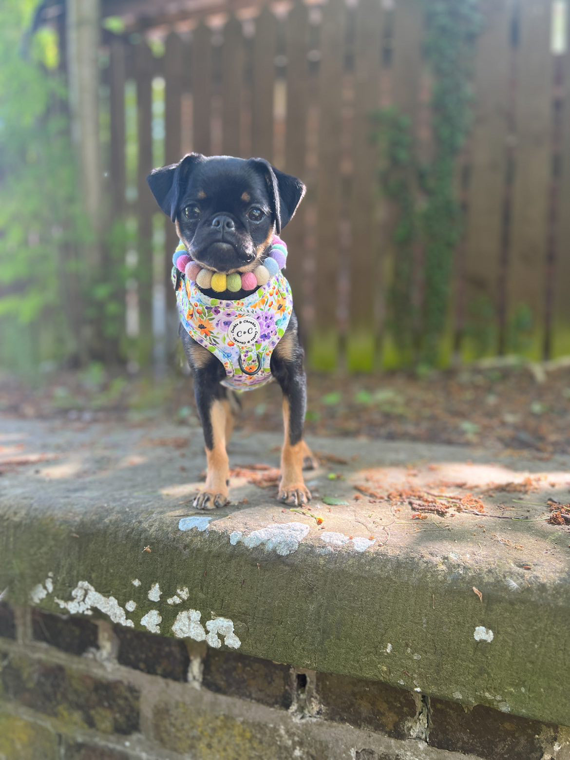 Adjustable harness - 'Once Upon A Flower'