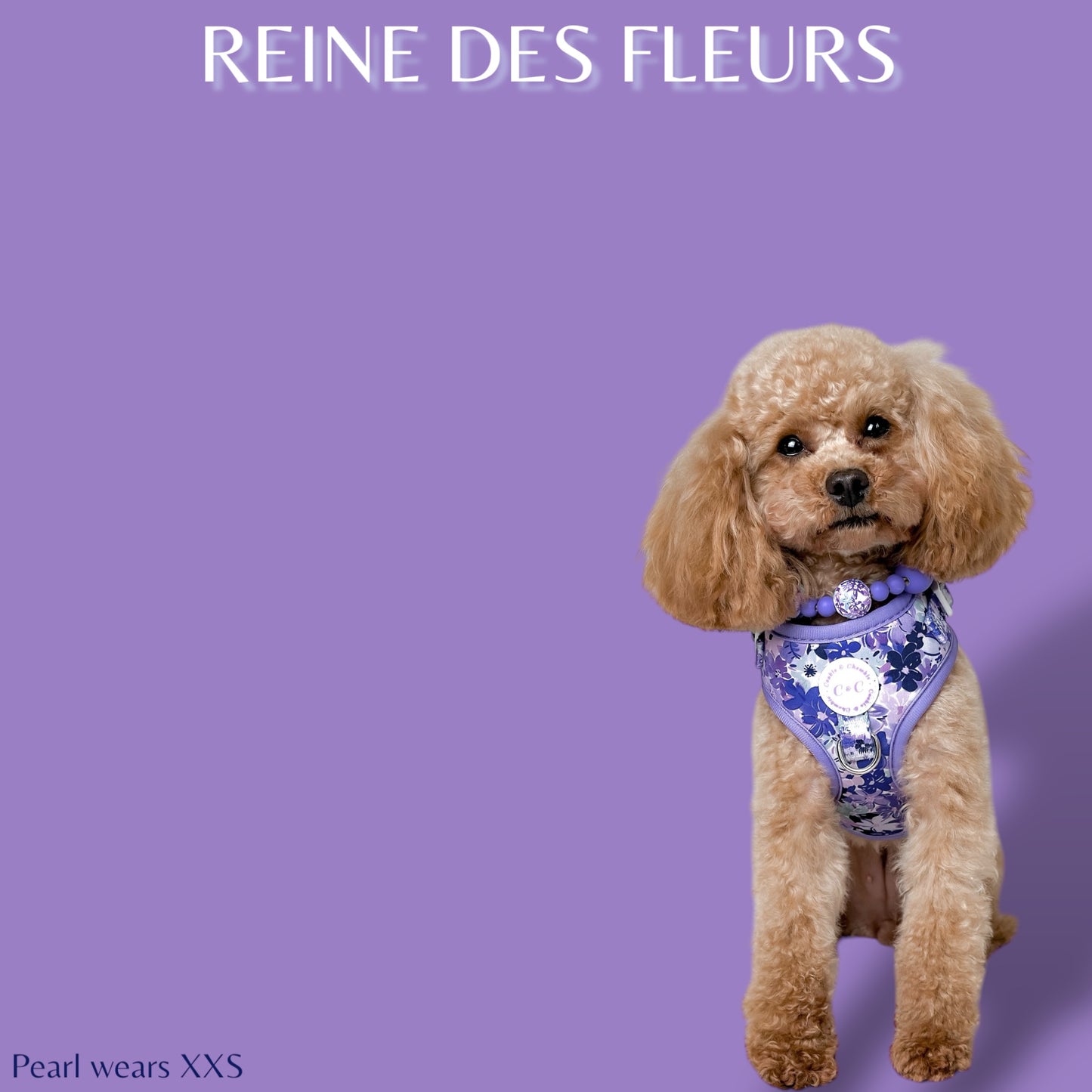 Adjustable Harness - 'Reine des Fleurs'