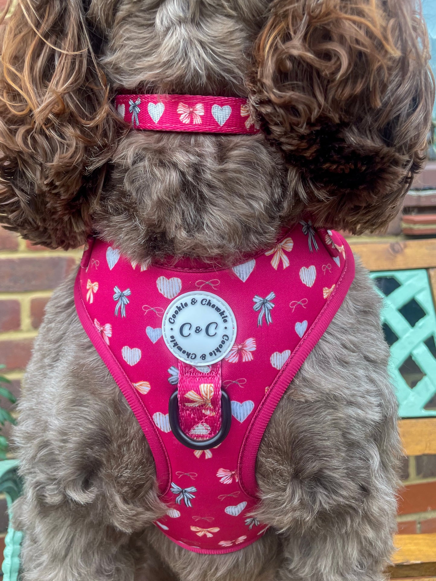 Collar - 'My Dainty Love'
