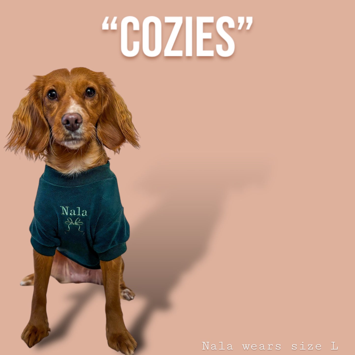 COZIES Fleece Sweatshirt - Dark Green
