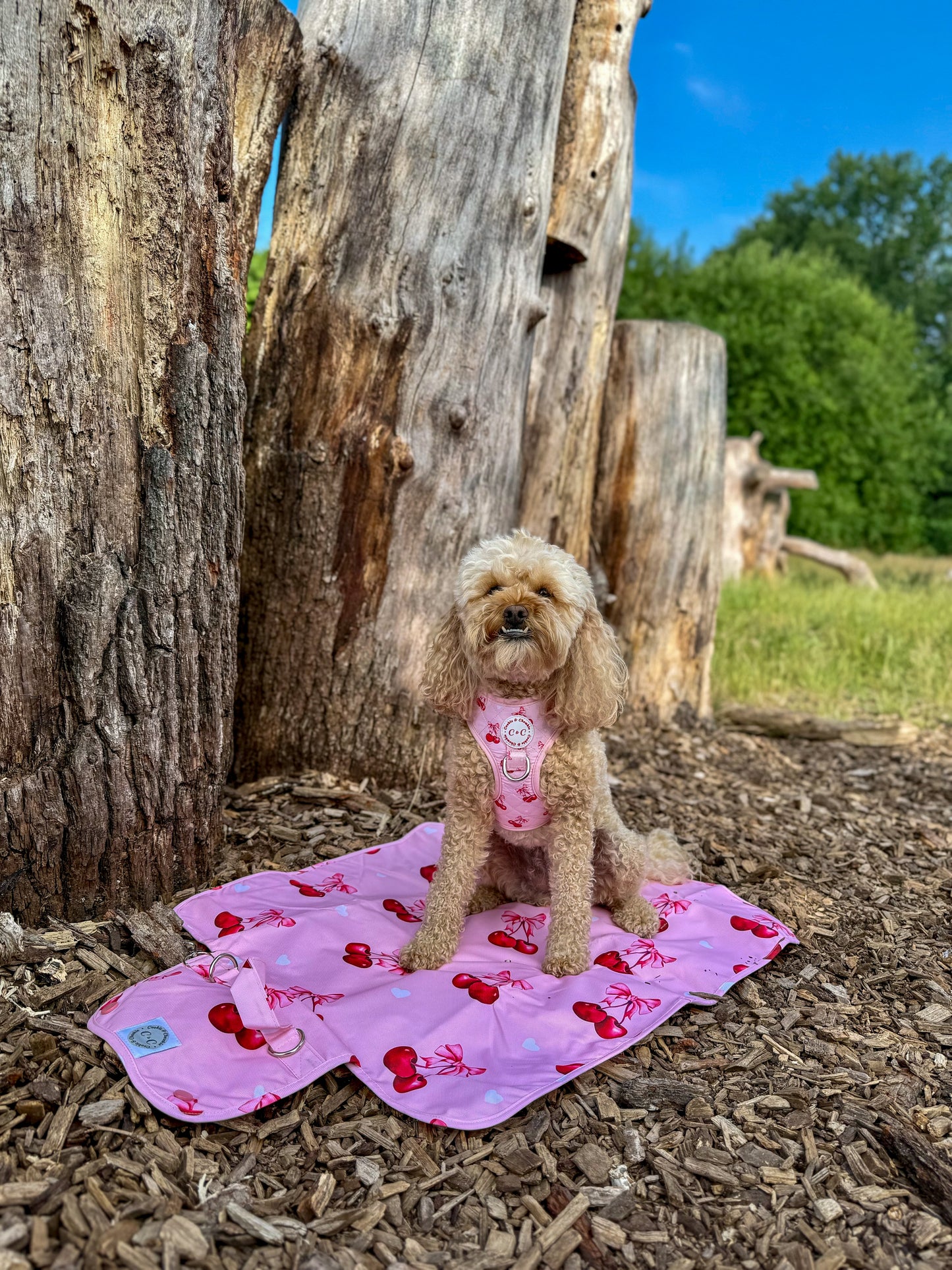 Adjustable Quilted Harness - 'Chérie Amour'