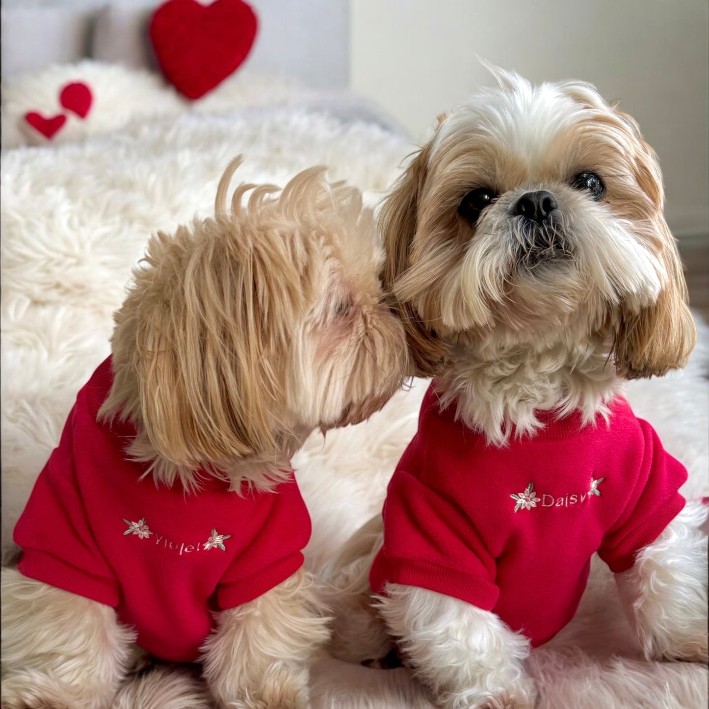 COZIES Fleece Sweatshirt - Red