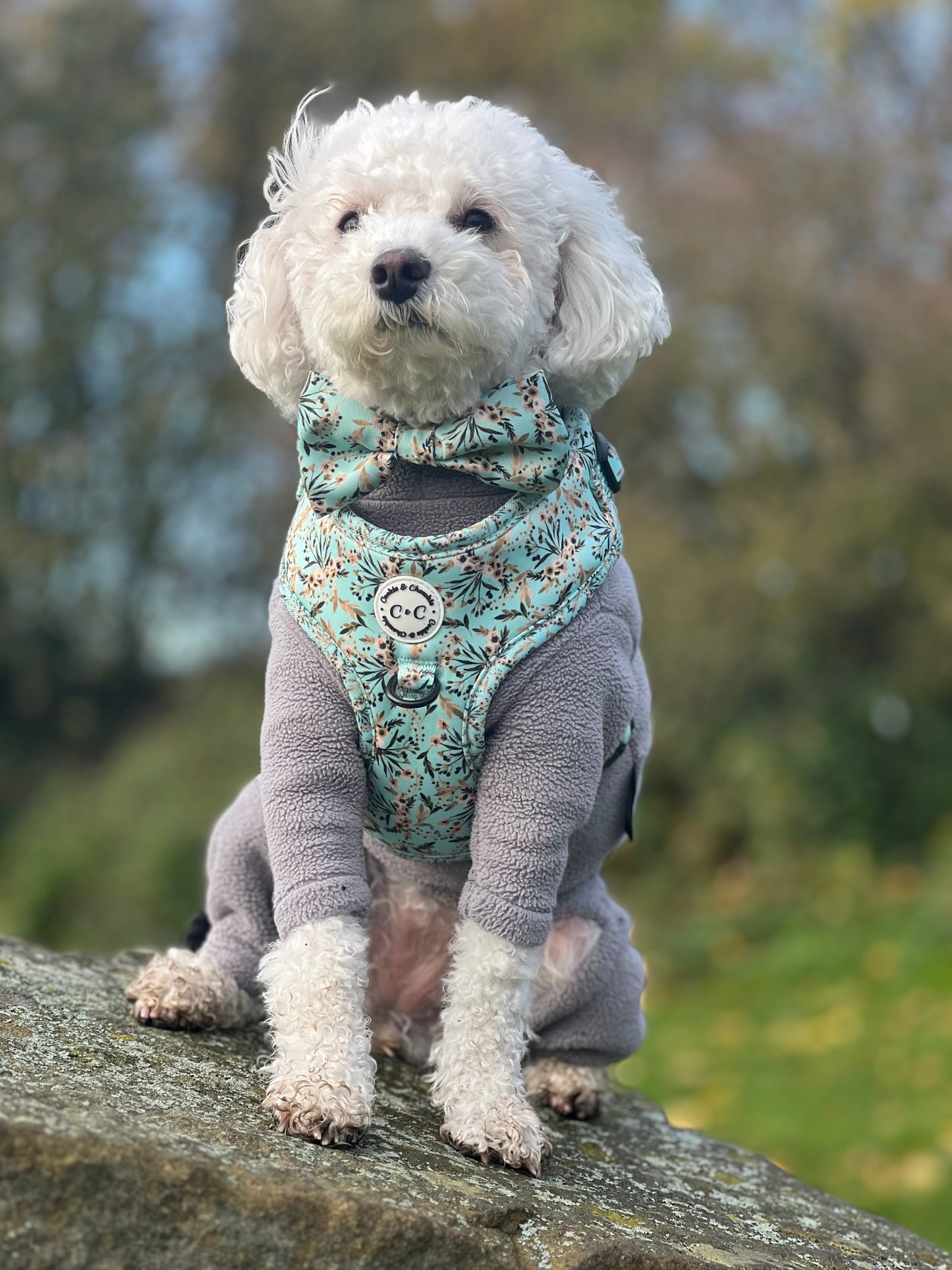 Adjustable harness - 'Baby, it's Gold outside'
