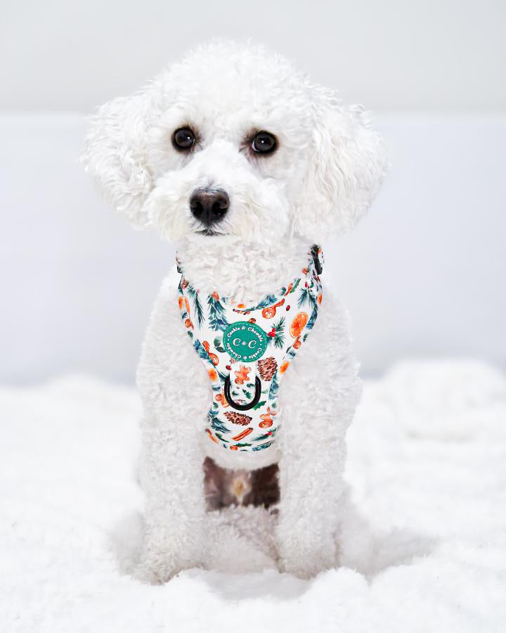 Adjustable Harness - 'Festive Pawpourri'