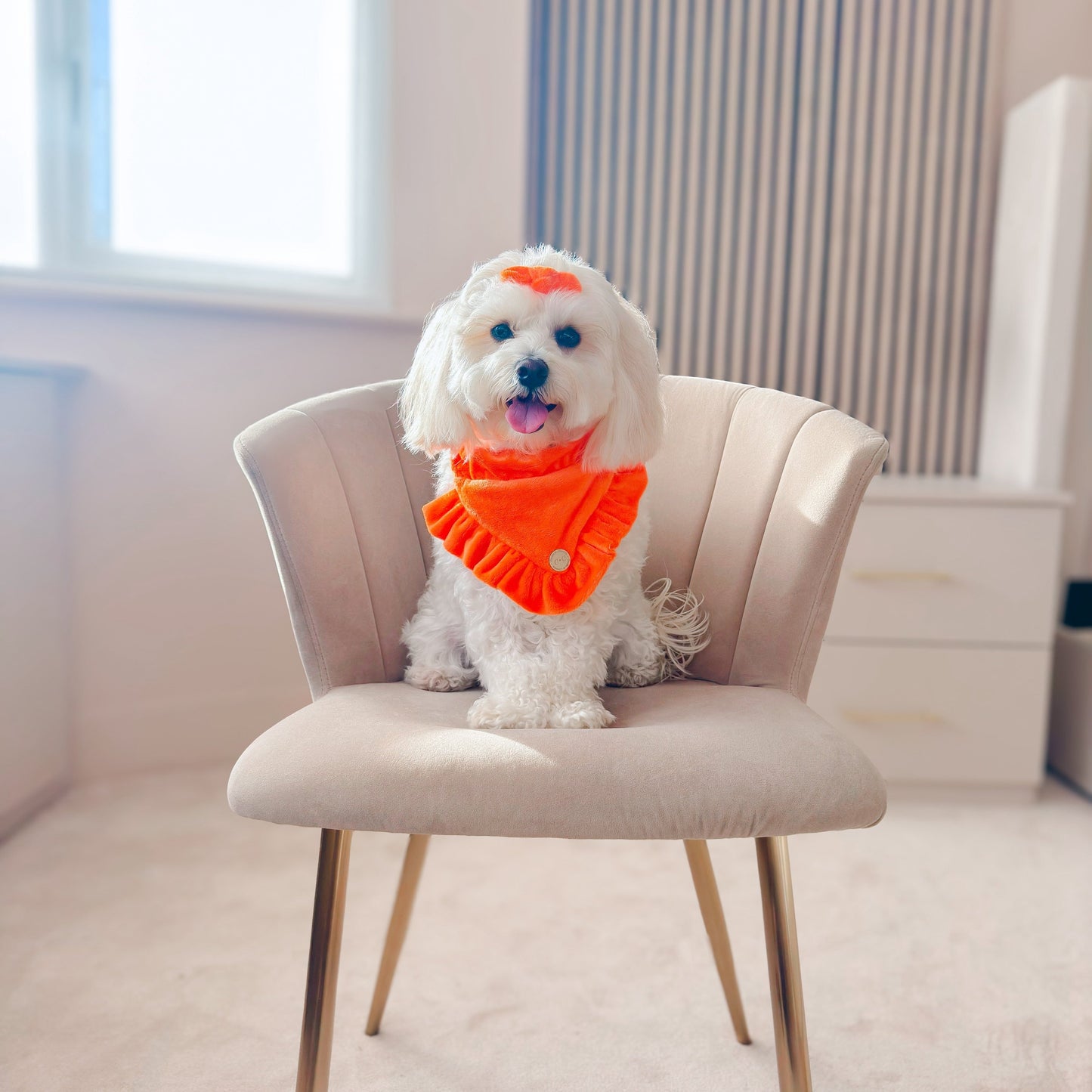 FLUFFIES Bandana - "Cindy"
