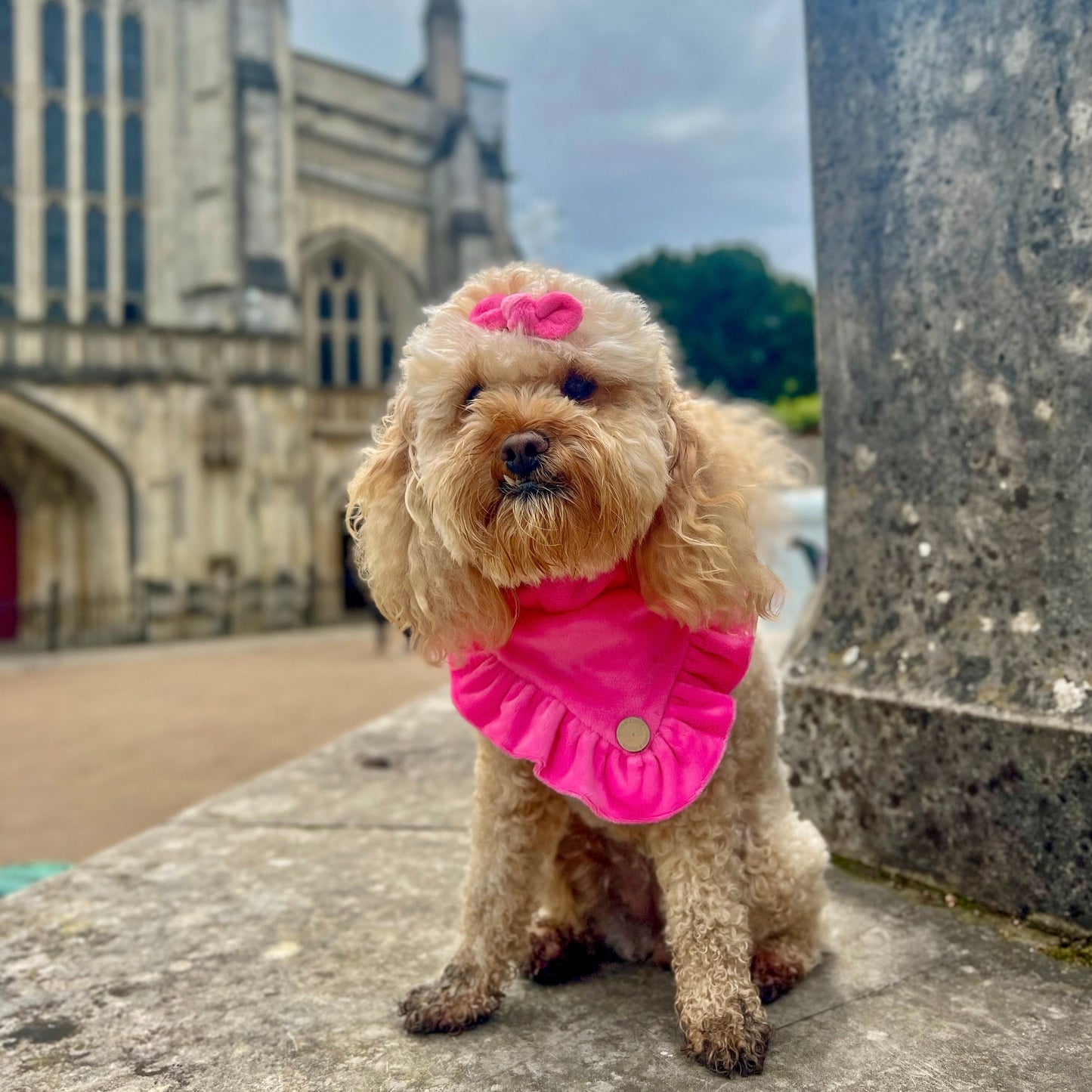 FLUFFIES Bandana - "Barbie"