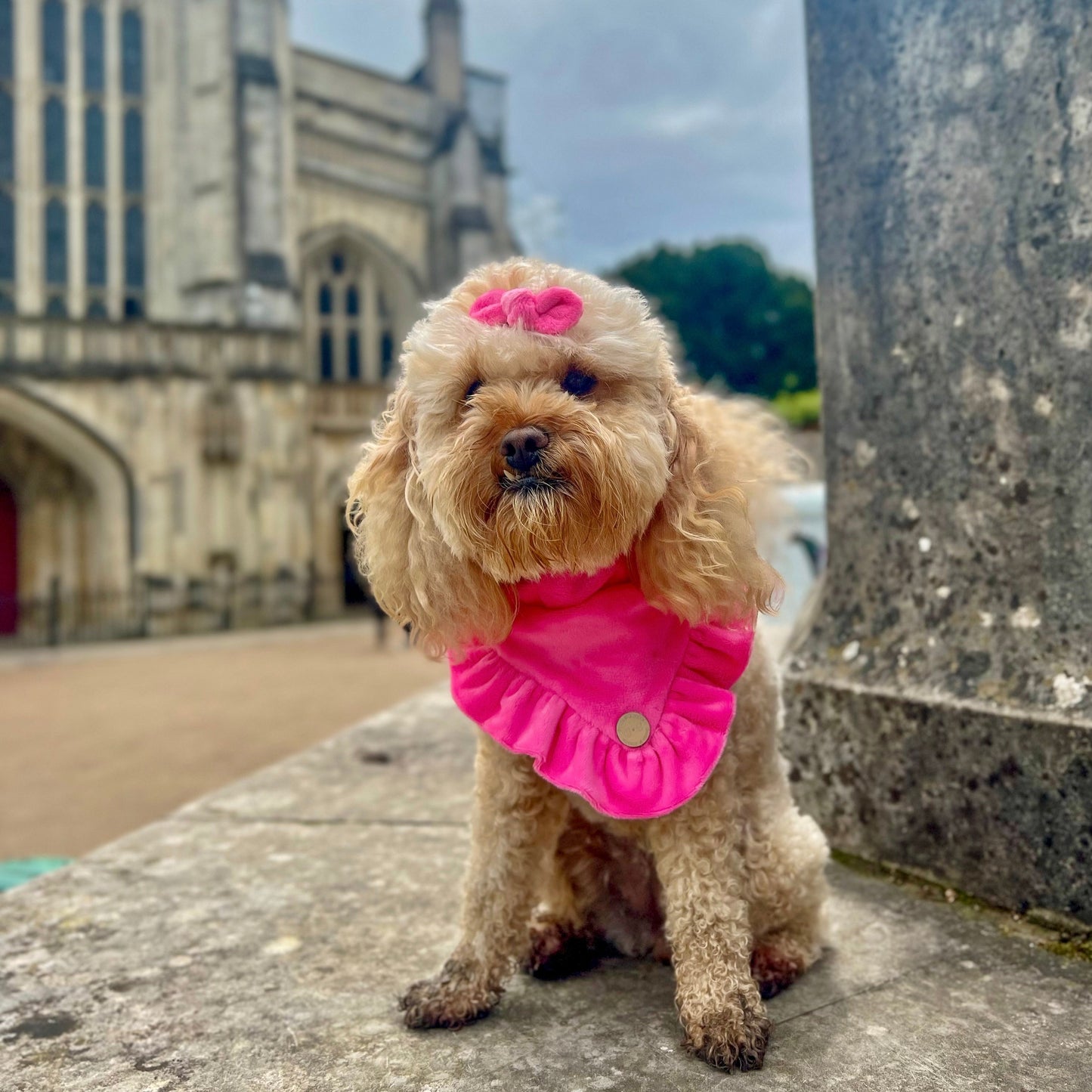 FLUFFIES Hair/Fur Bow - 'Barbie'