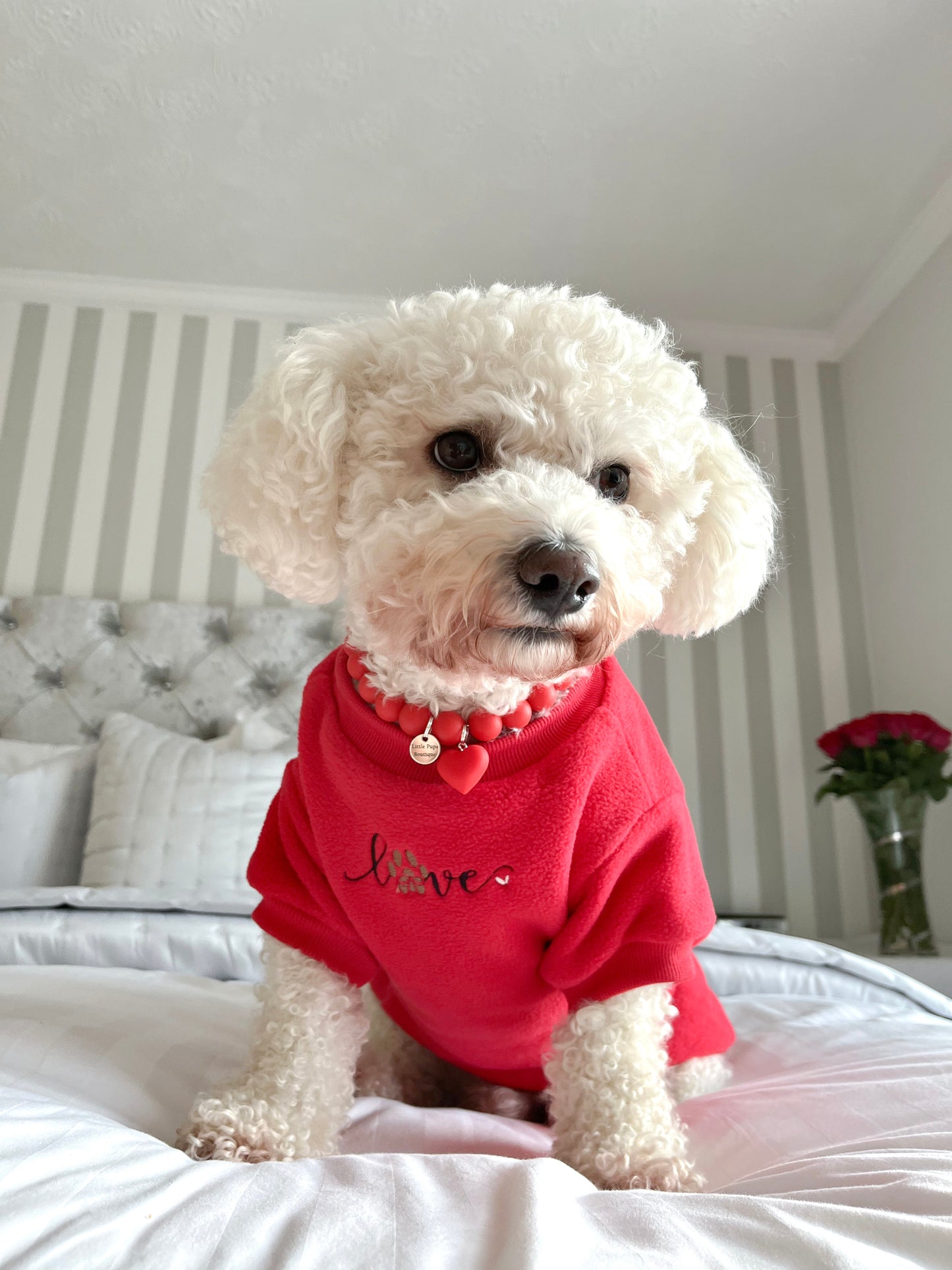 COZIES Fleece Sweatshirt - Red
