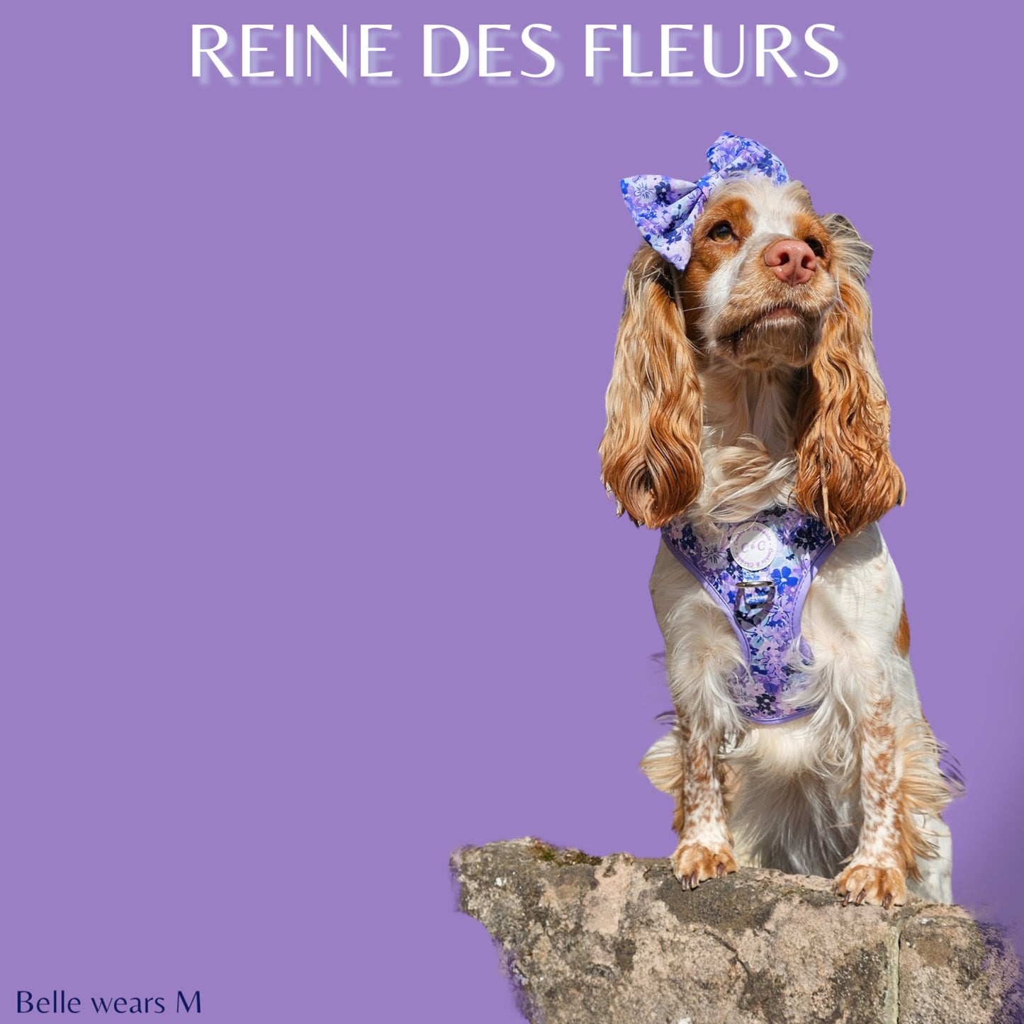 Adjustable Harness - 'Reine des Fleurs'
