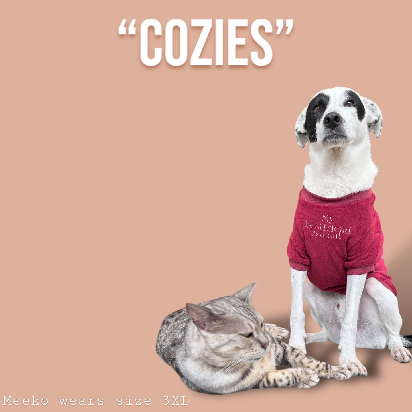 COZIES Fleece Sweatshirt - Burgundy