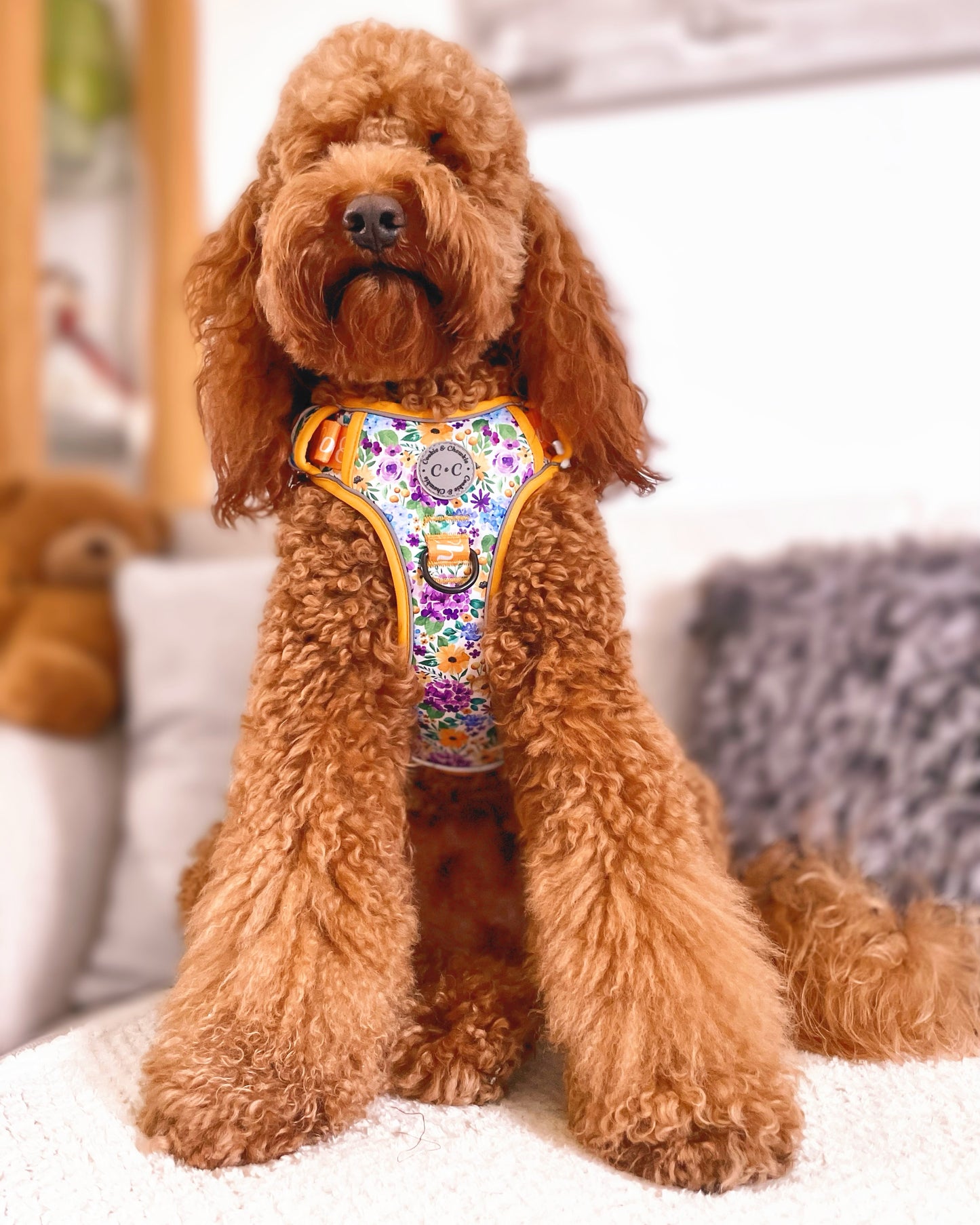 Adjustable TUFF Harness - 'Once Upon A Flower'
