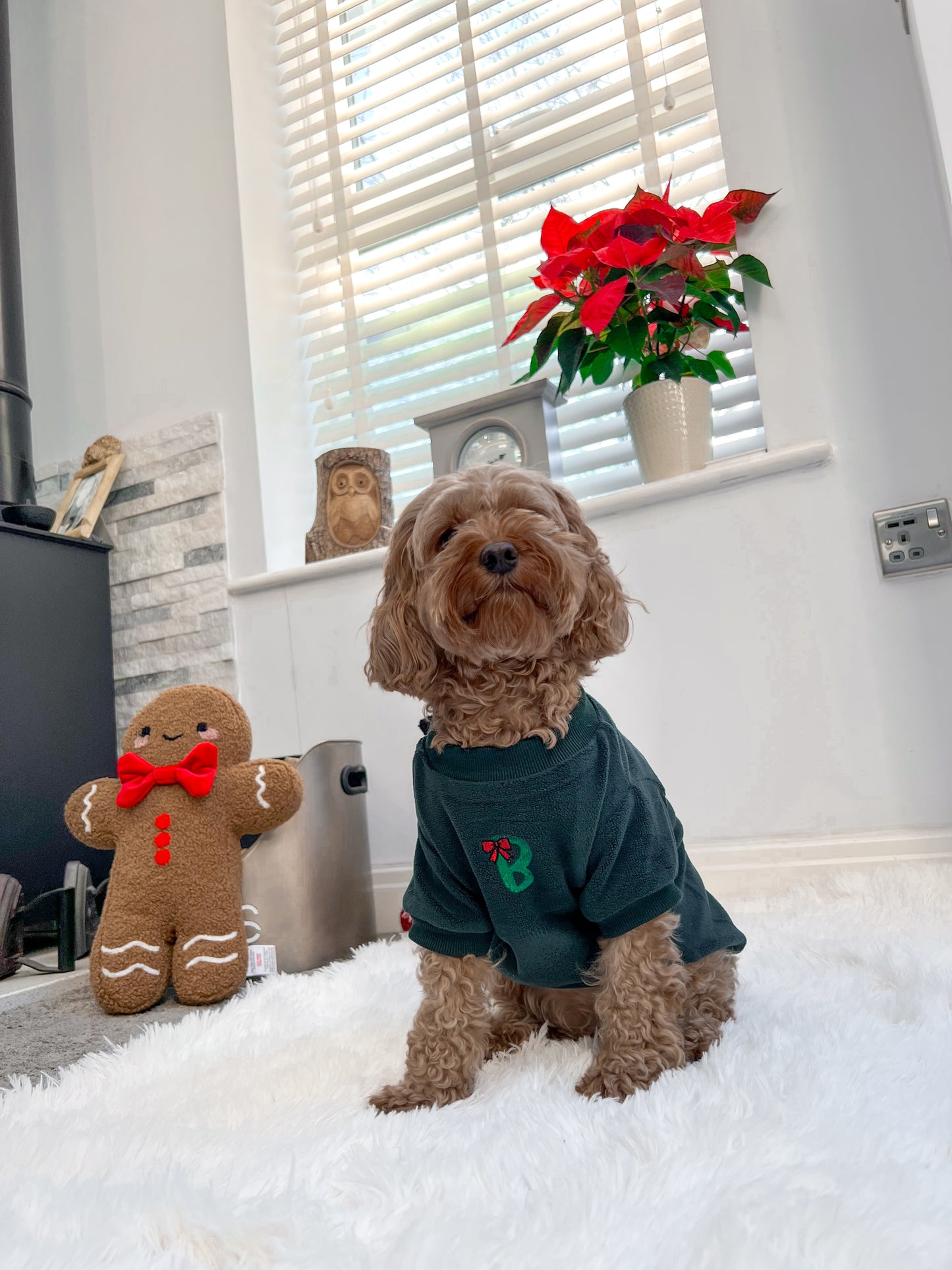COZIES Fleece Sweatshirt - Dark Green