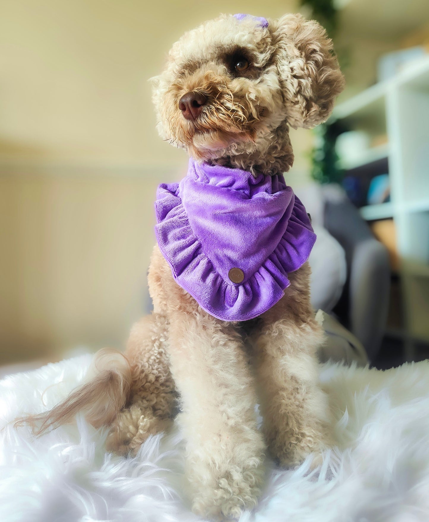 FLUFFIES Bandana - "Casia"